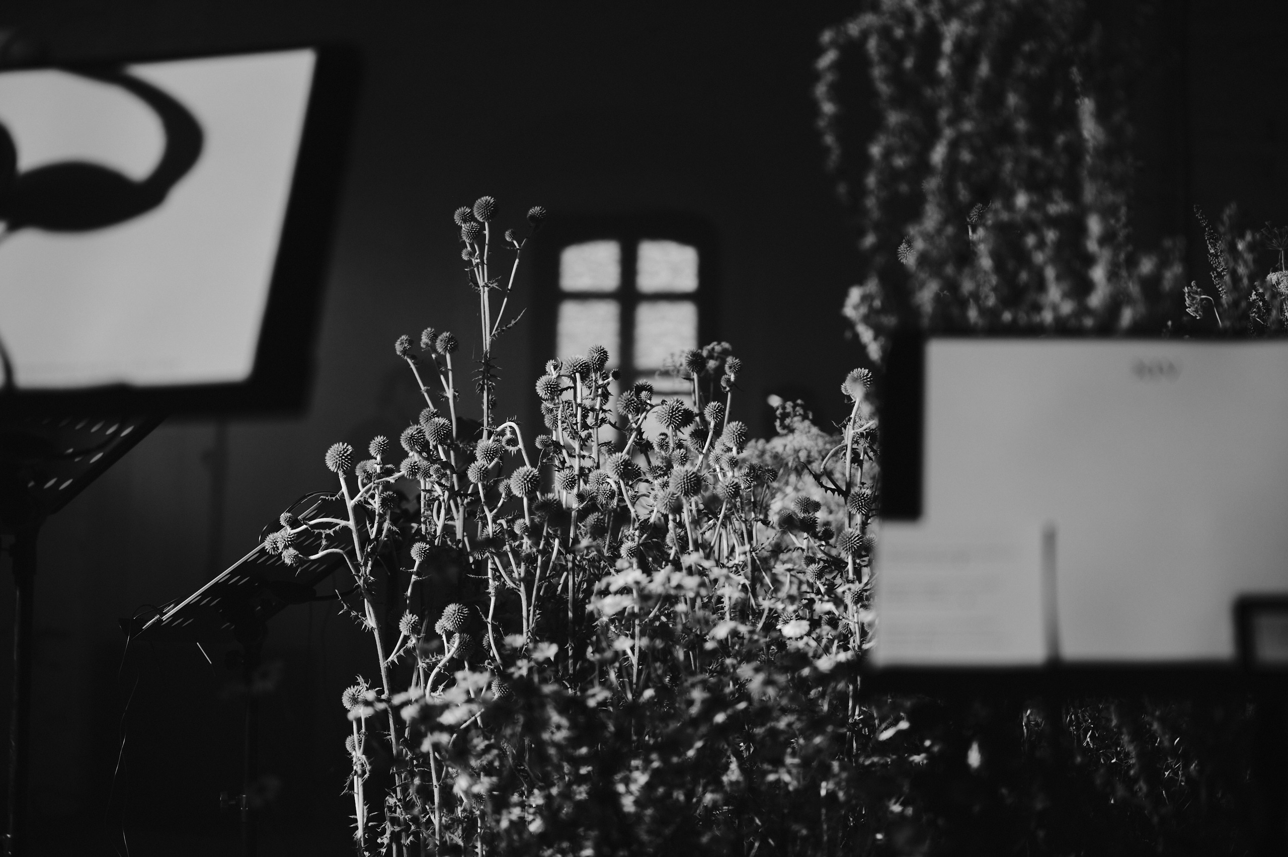 НЕСВОЕВРЕМЕННЫЕ МЫСЛИ. Коммерческий фотограф в Казани Ксения Добролюбова