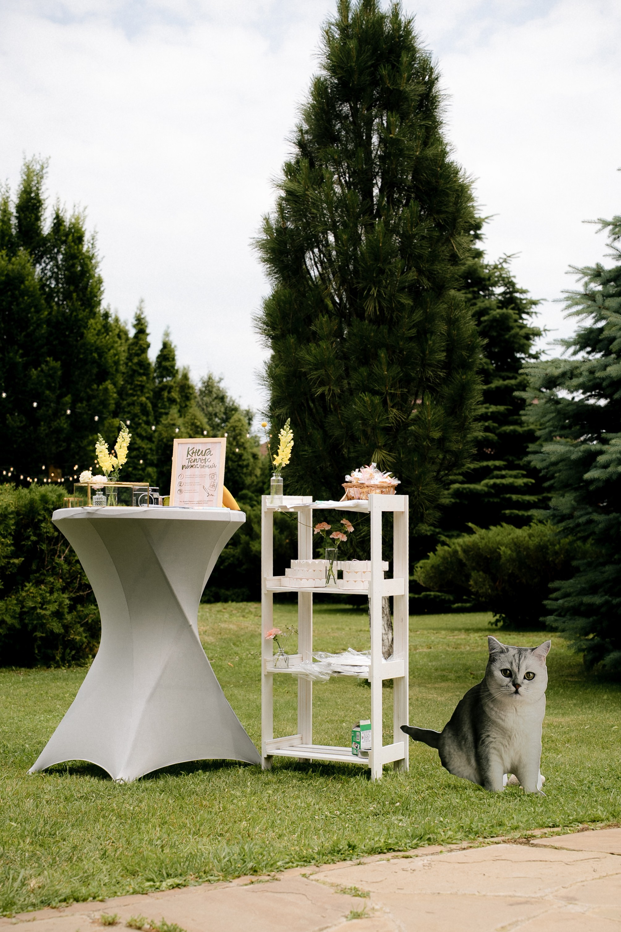 Катя+Артем. Анонс. Семейный и портретный фотограф в Саратове Сахарова Маша