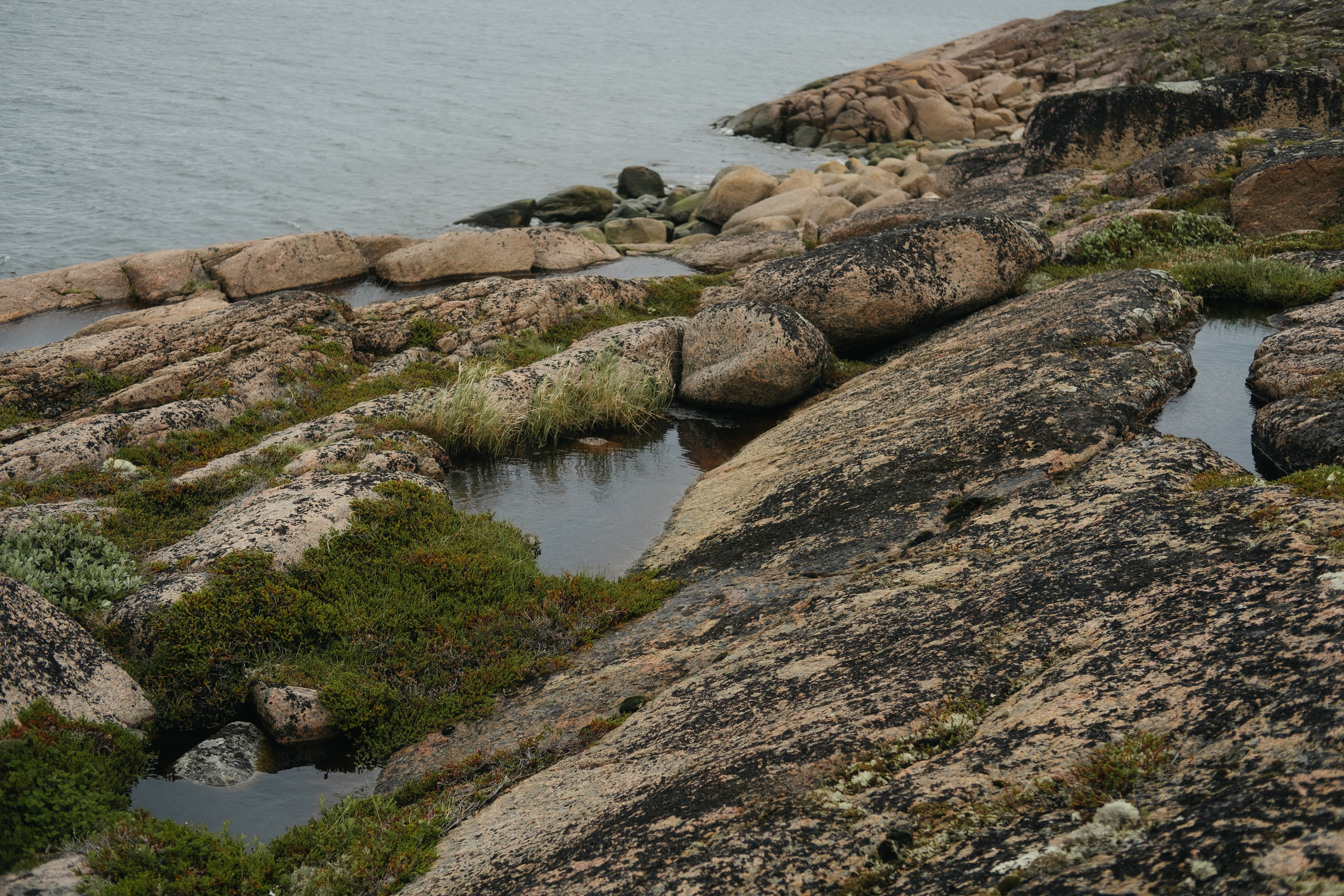 Карелия и Соловецкие острова. Обо мне