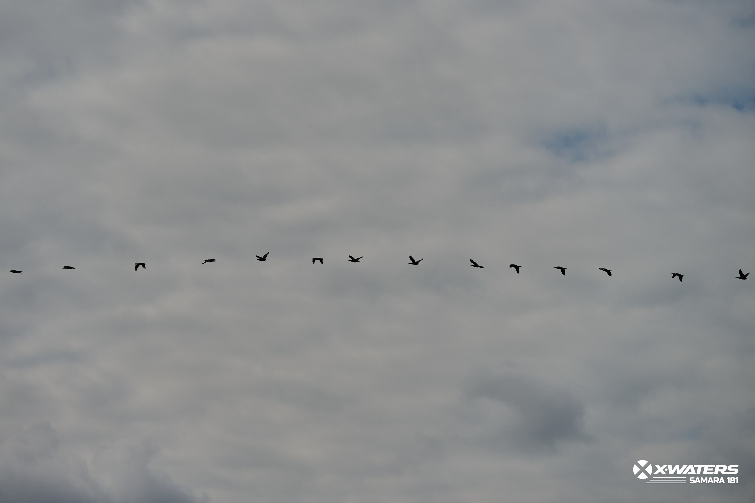 X-WATERS 2025 Samara 181 (самый длинный заплыв в России). Фотограф в Самаре