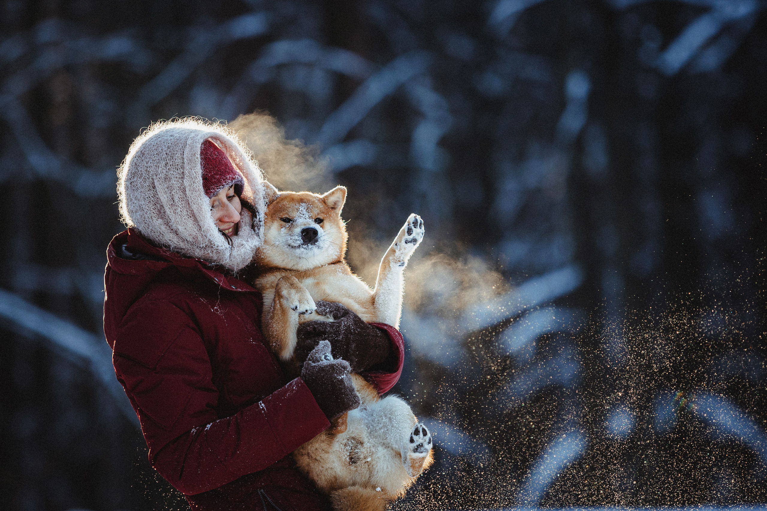 Шед, Цири и Ира