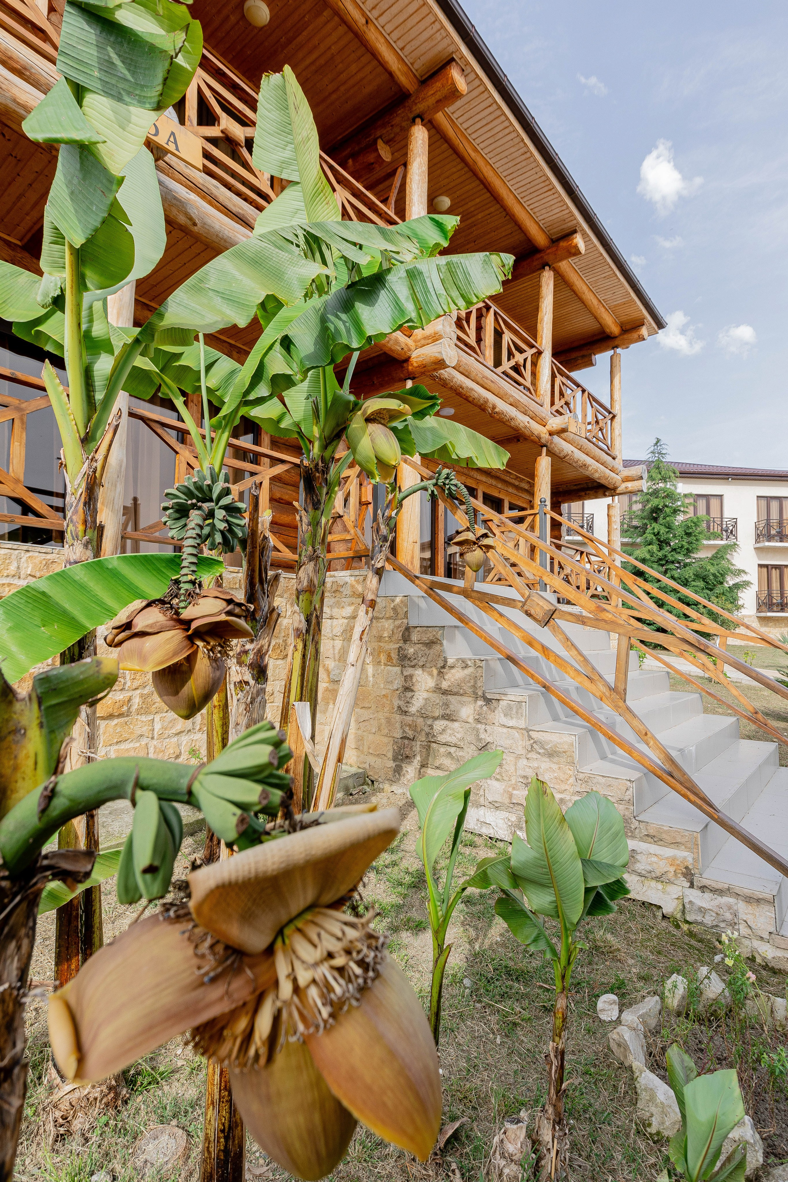 PARADISE. Семейный фотограф на крещение и венчание