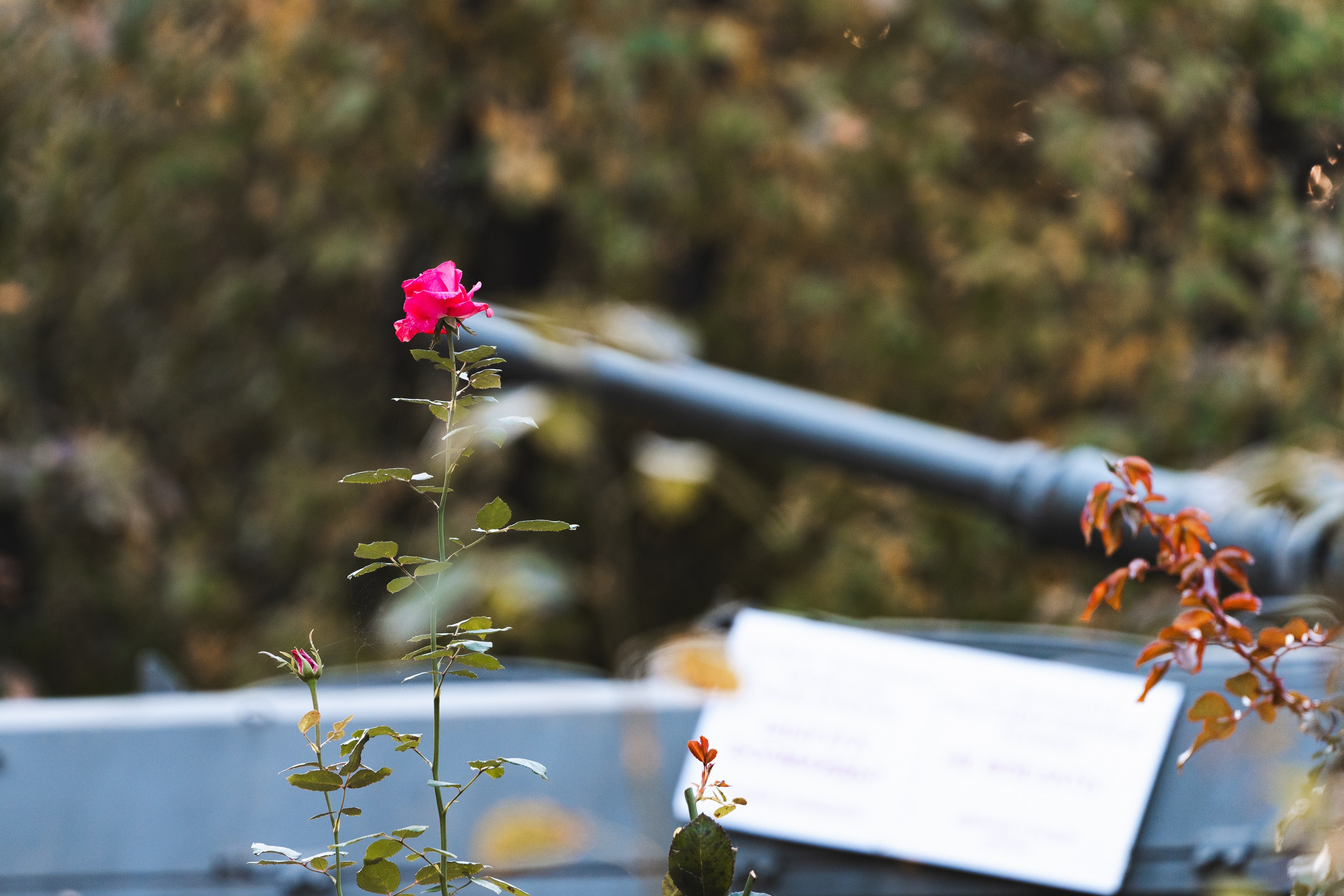 Усть-Каменогорск, Сентябрь 2024