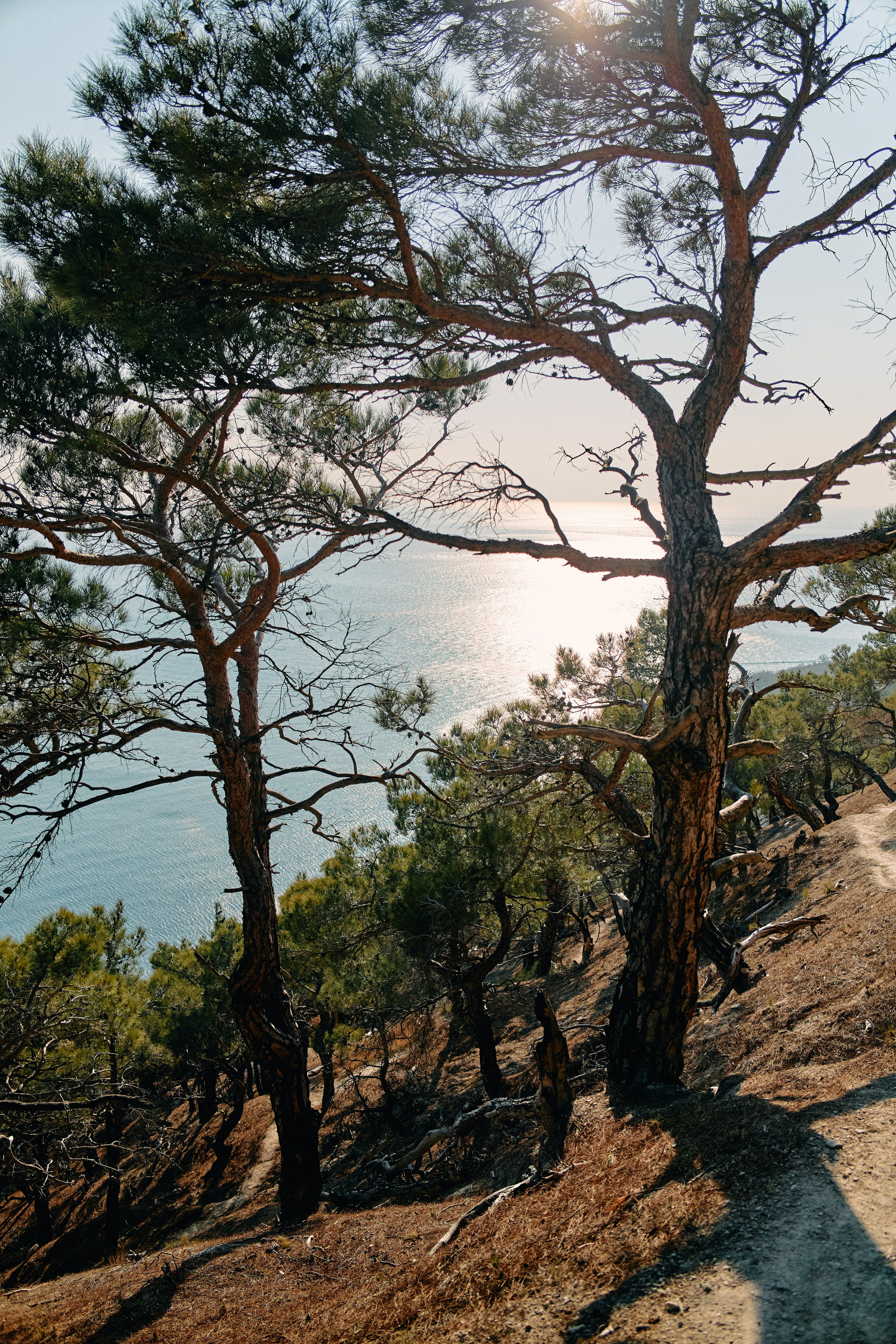 Юг России. Профессиональный Фотограф во Владимире, в Москве и в Суздале — Полина Романычева