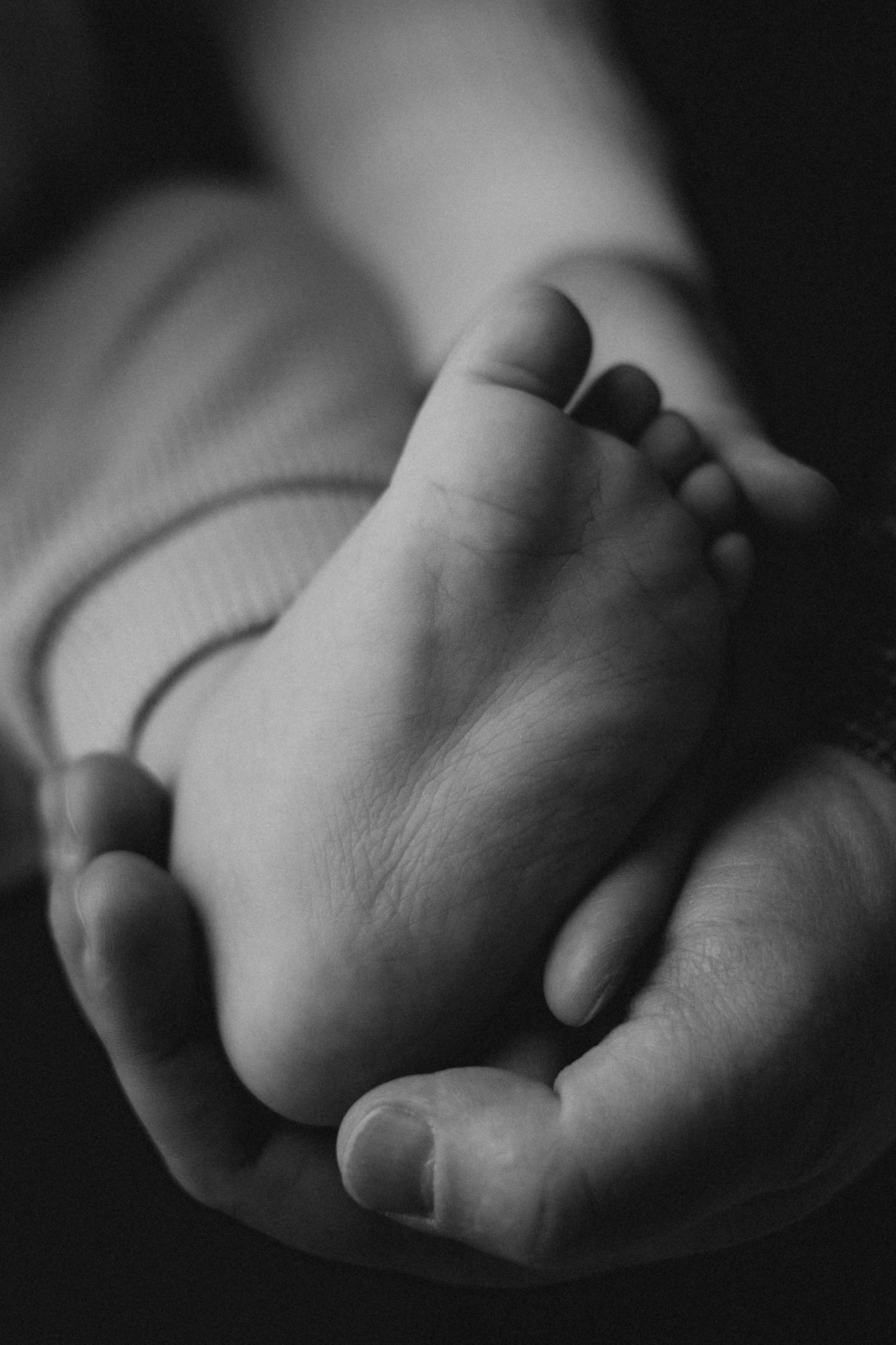 Витя, Ирина и Дима. Семейный фотограф в Сочи Любовь Переседова