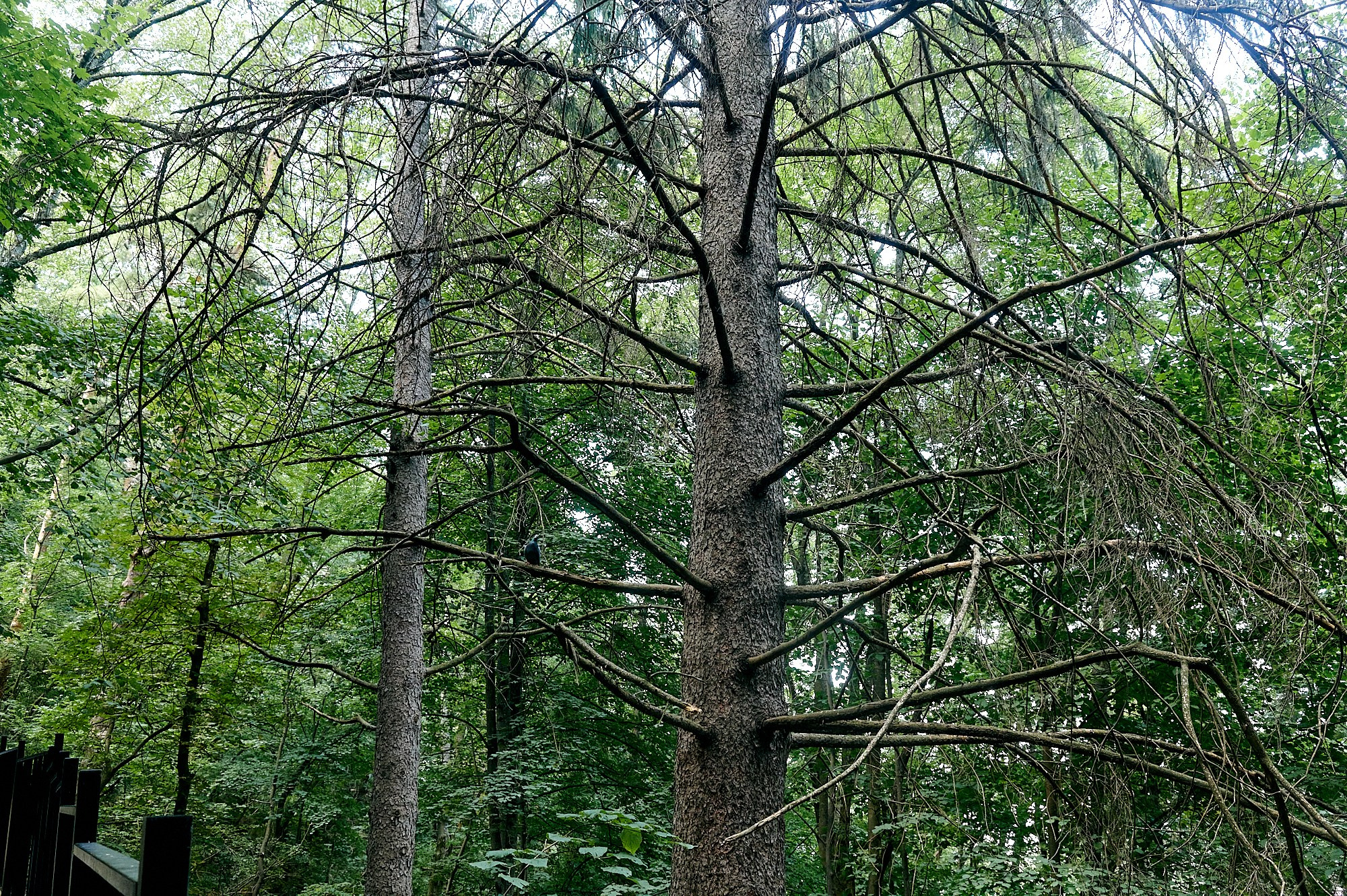 Кисловодск, Россия. Август 2024. Фотографии отовсюду и обо всем