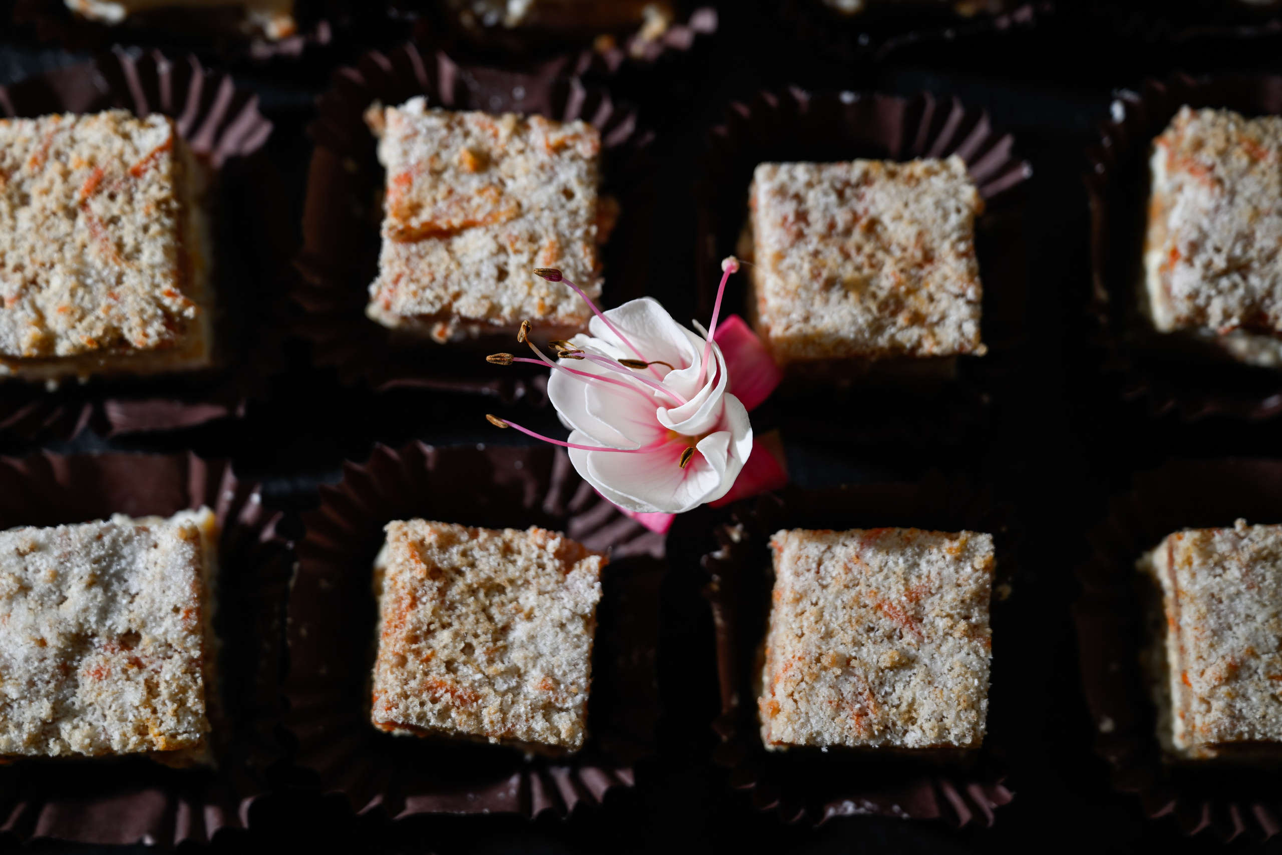 MTS ADS| Большая конференция маркетолога. Портфолио