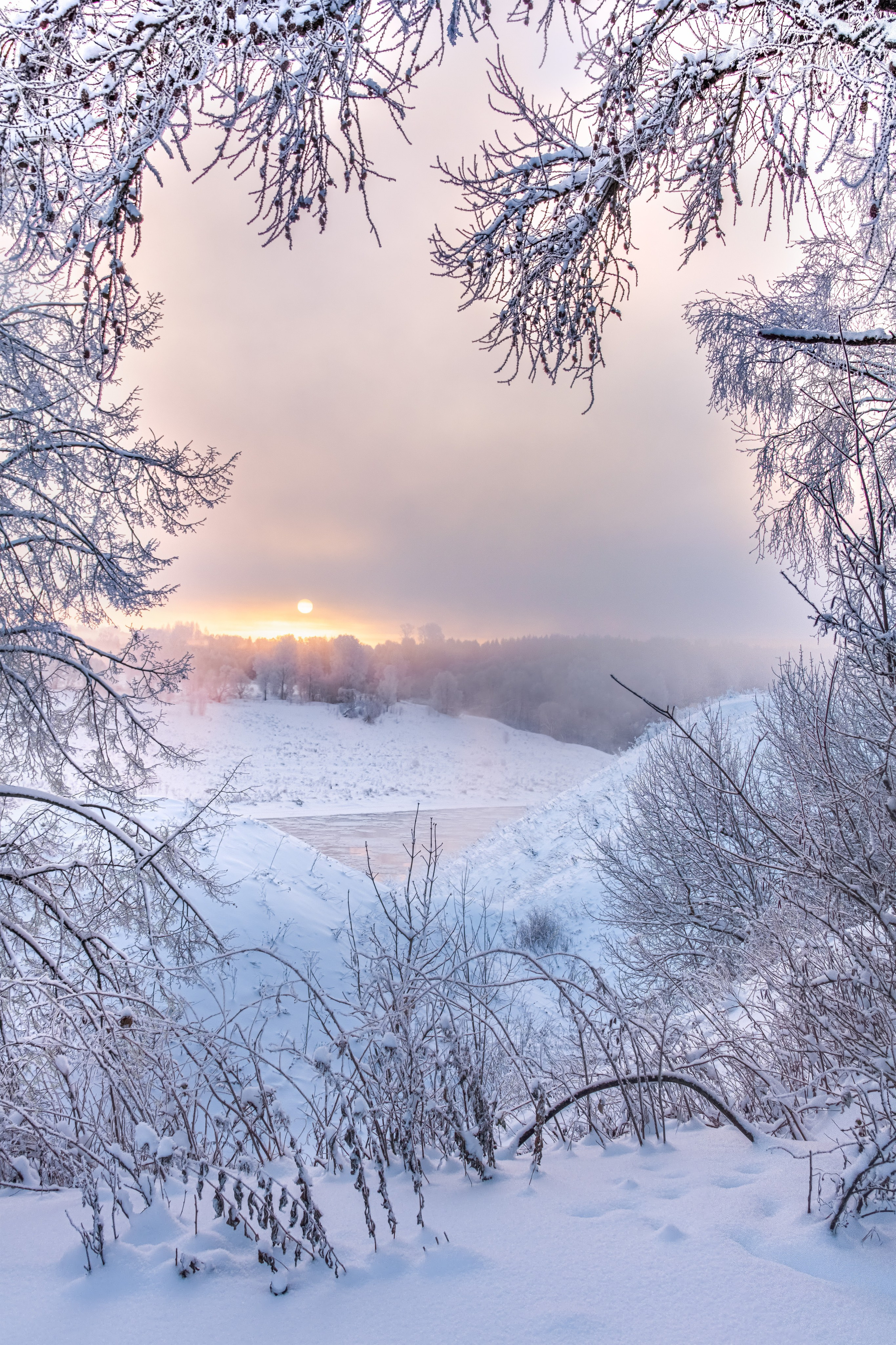 Фото Павла Крайникова