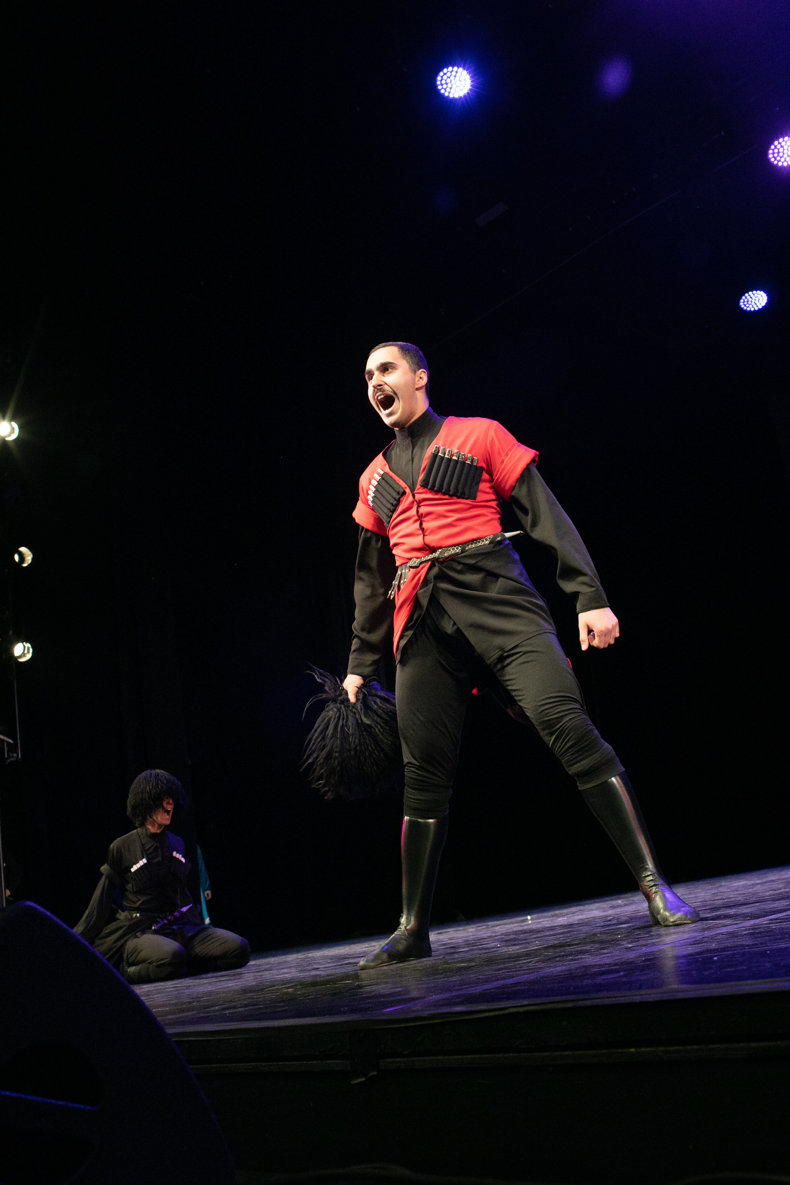 Концерт, грузинские танцы. Art photographer Nino