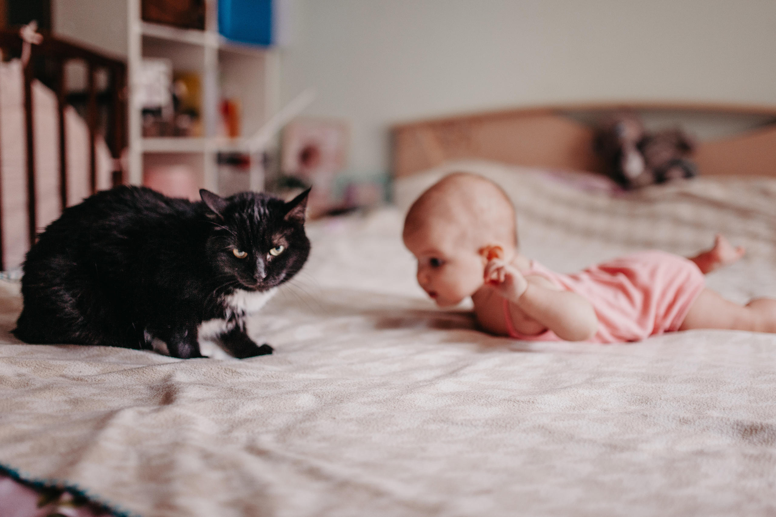 Первая фотосессия. Фотограф Шелудкова Яна, город Тюмень