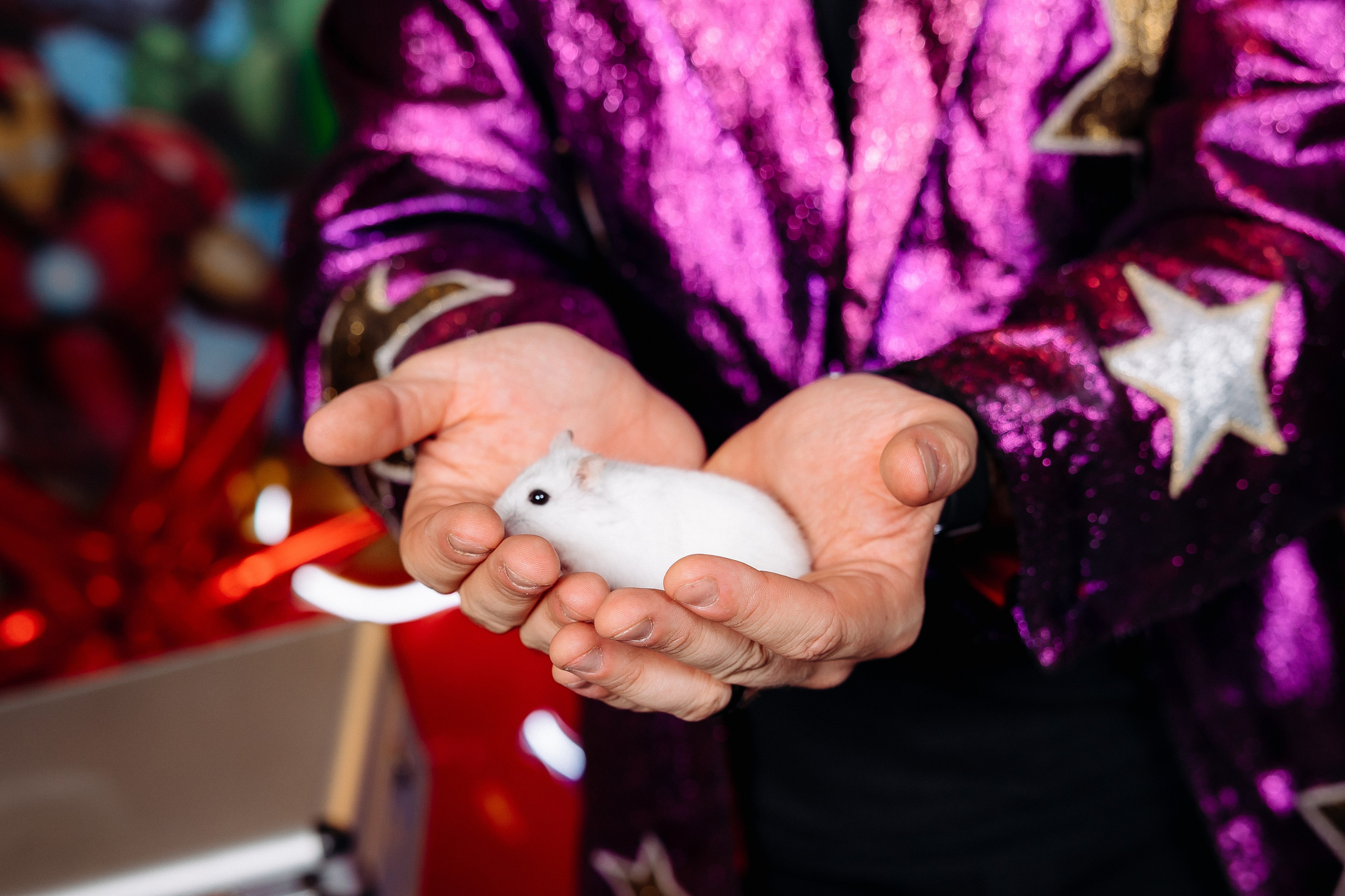 Дни Рождения. Фотограф в Санкт-Петербурге Кирюшенков Андрей