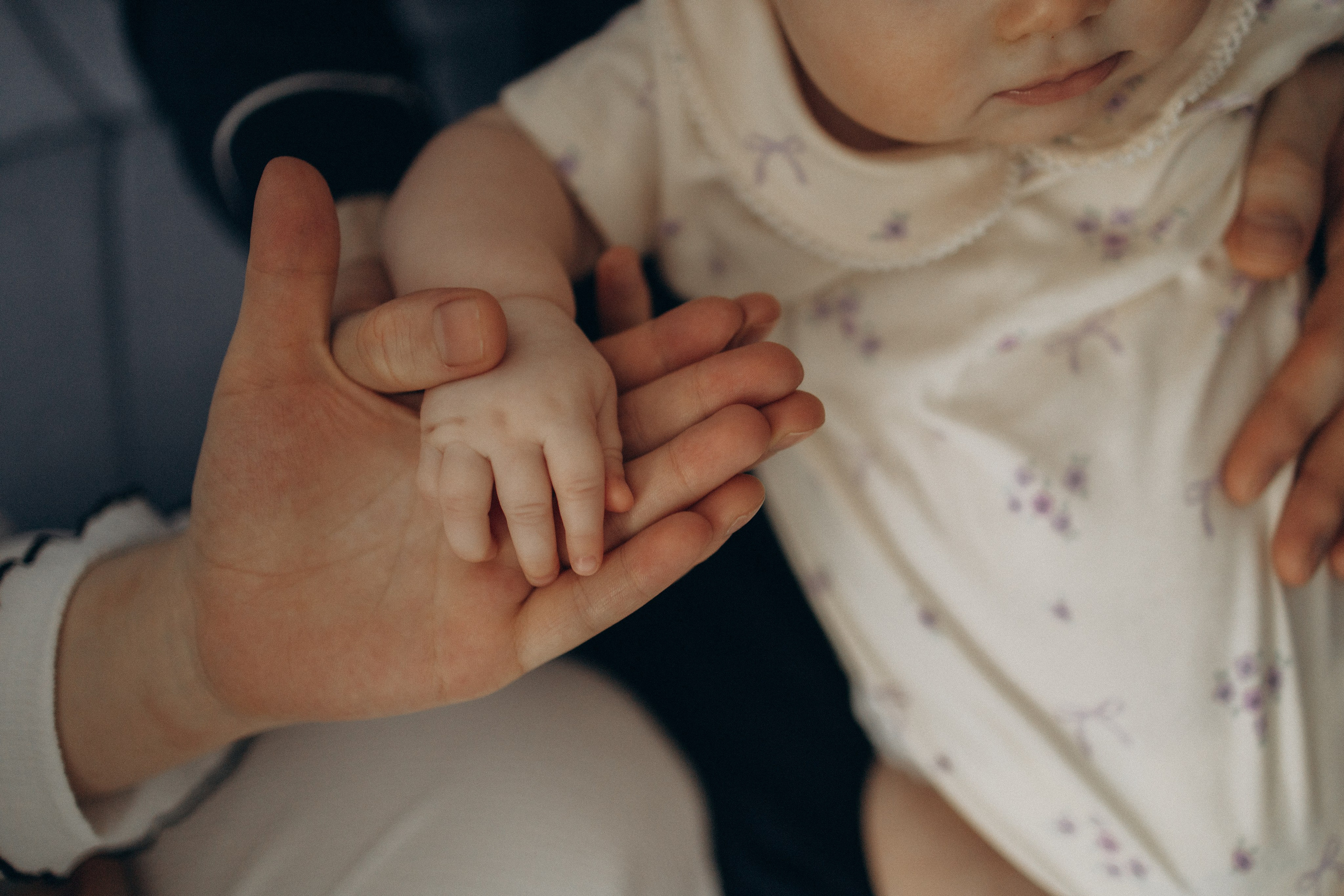Полгодика до годика. Семейный фотограф в Москве Анастасия Шалда