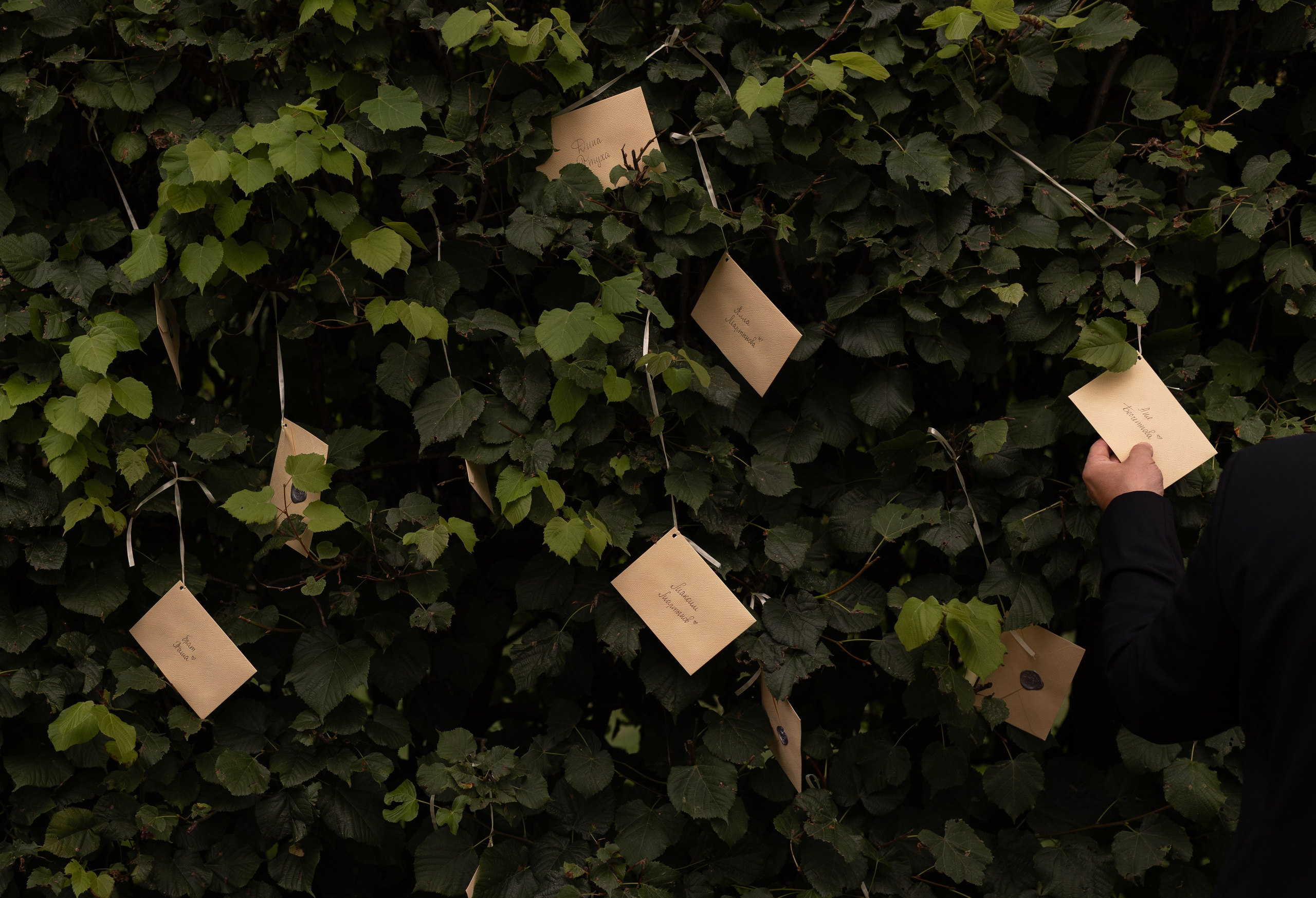 Ты мой-H₂O. Свадебный Фотограф Краснодар Юлия Ивахнова