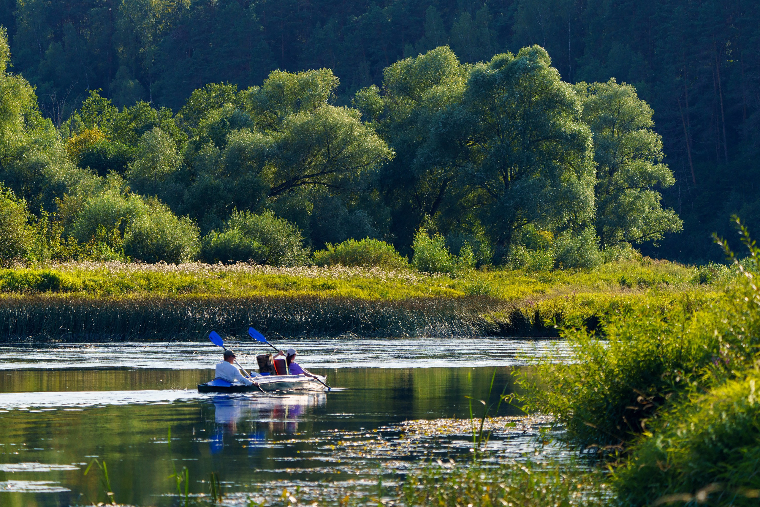 Фотографии Национальный парк Угра. Фотограф спортивные события, недвижимость, турбизнес