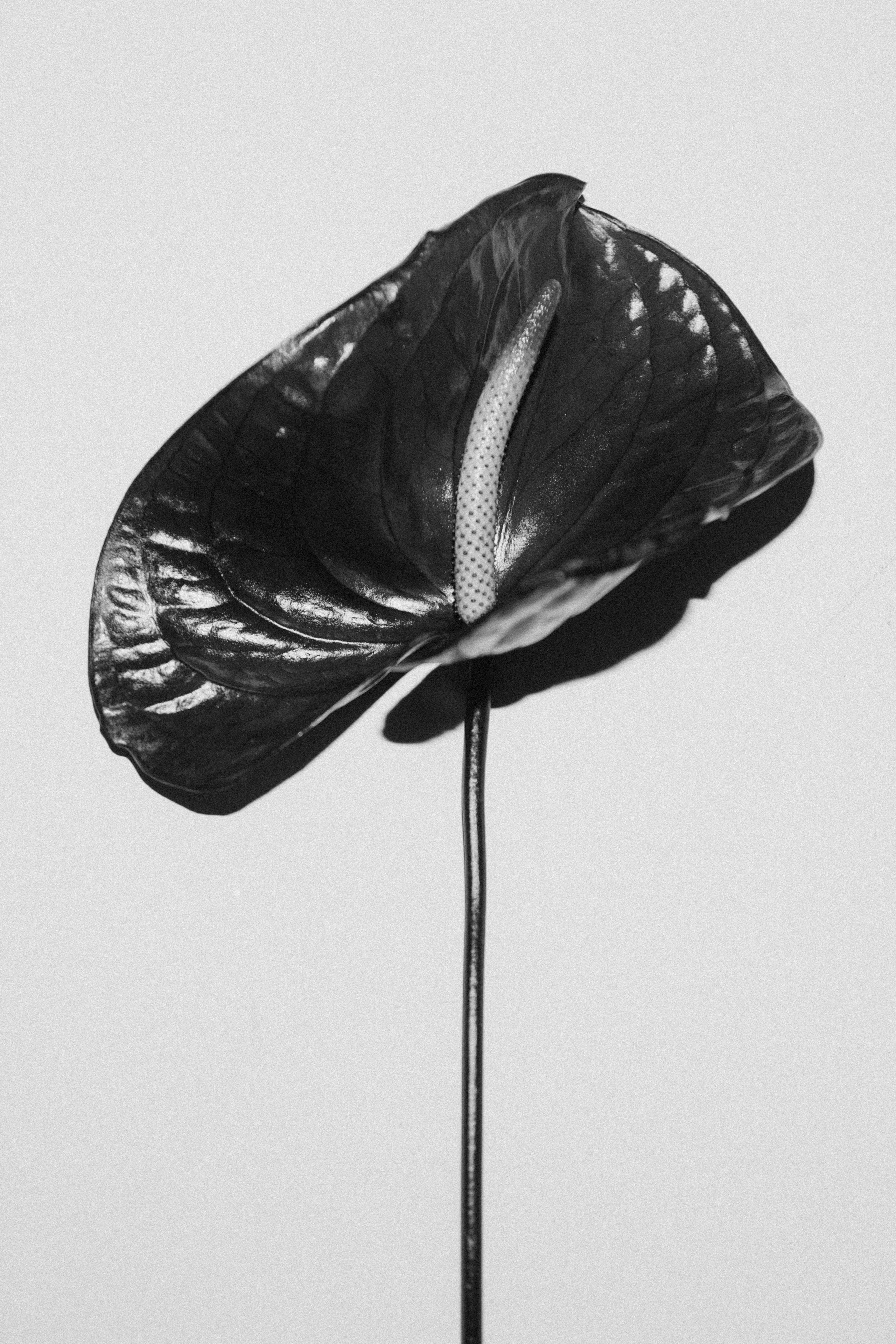 Simak's. Фотограф в Астрахани Радмир Баймухамедов