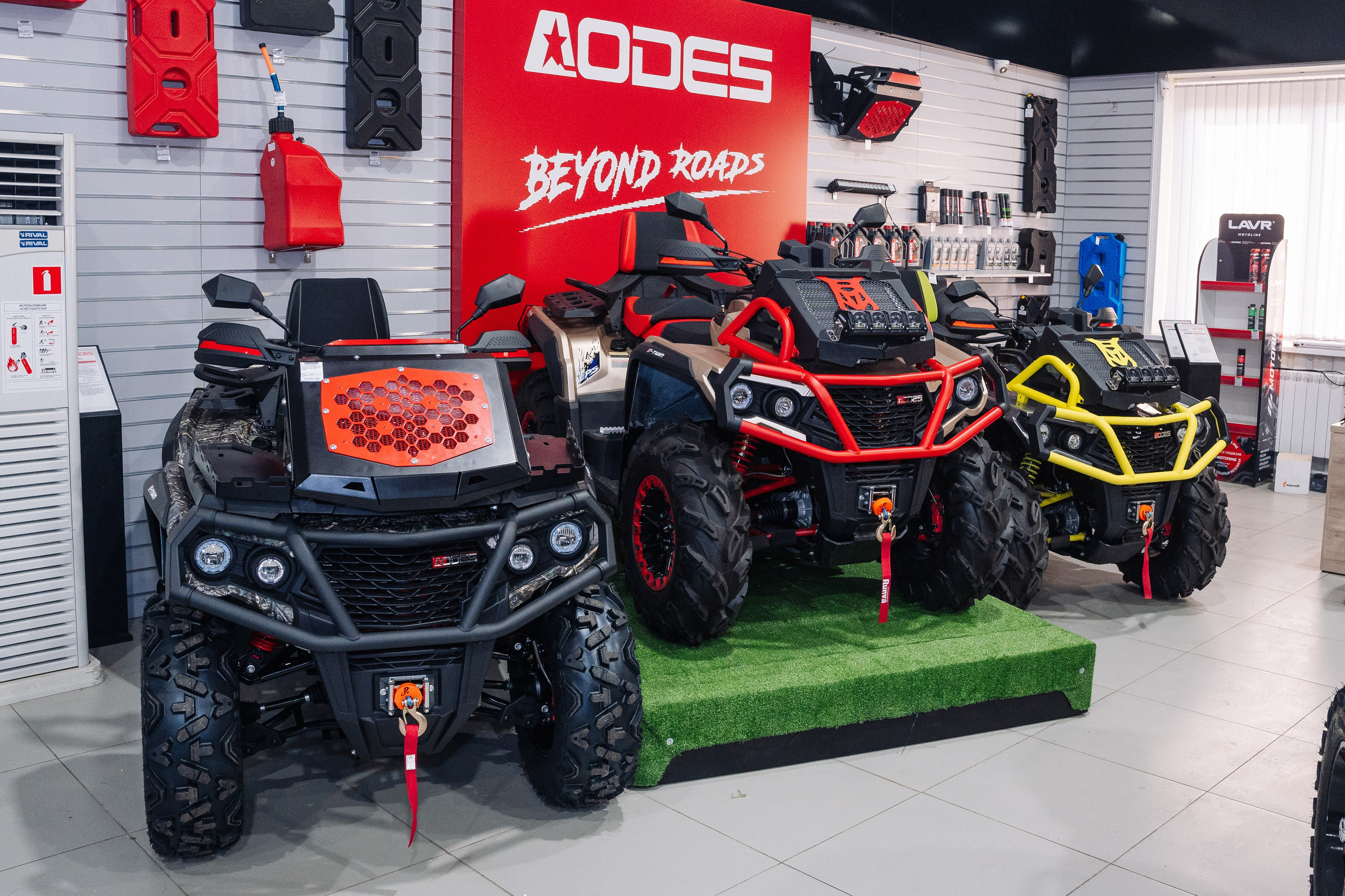 GLADIATOR. Фотограф Хабаровск