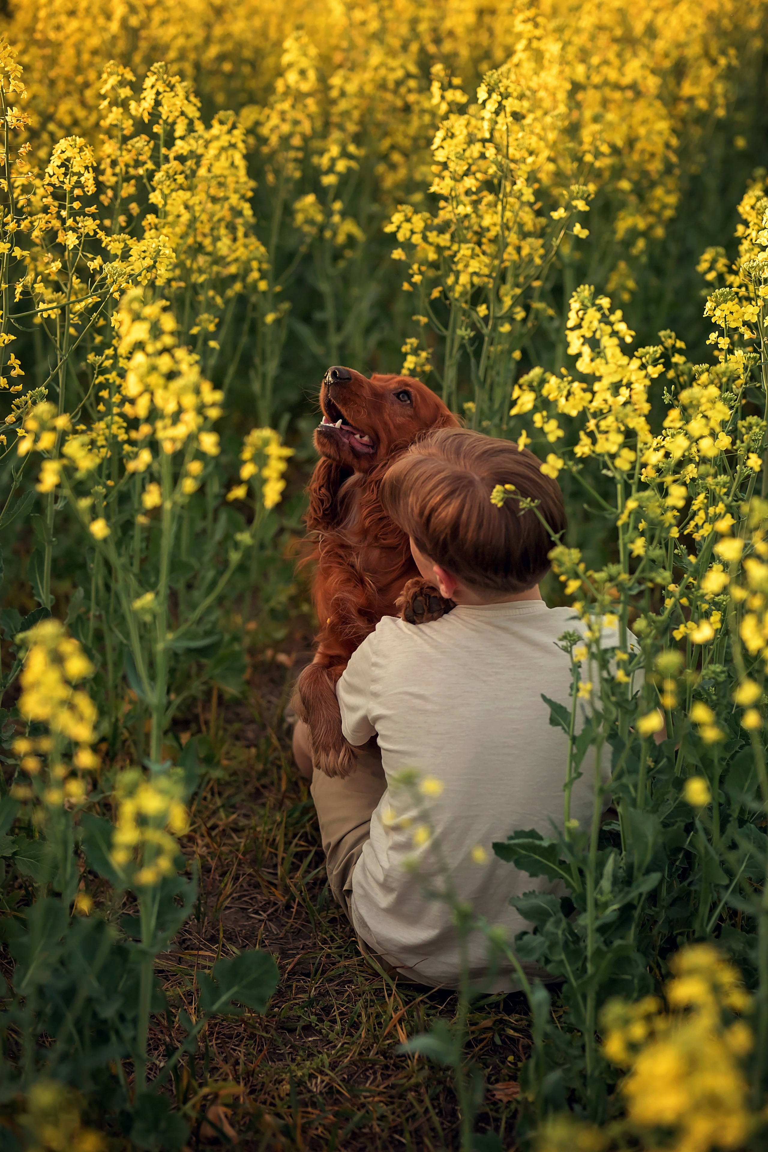 Рапс. Семейный и детский фотограф Екатерина Савёлова