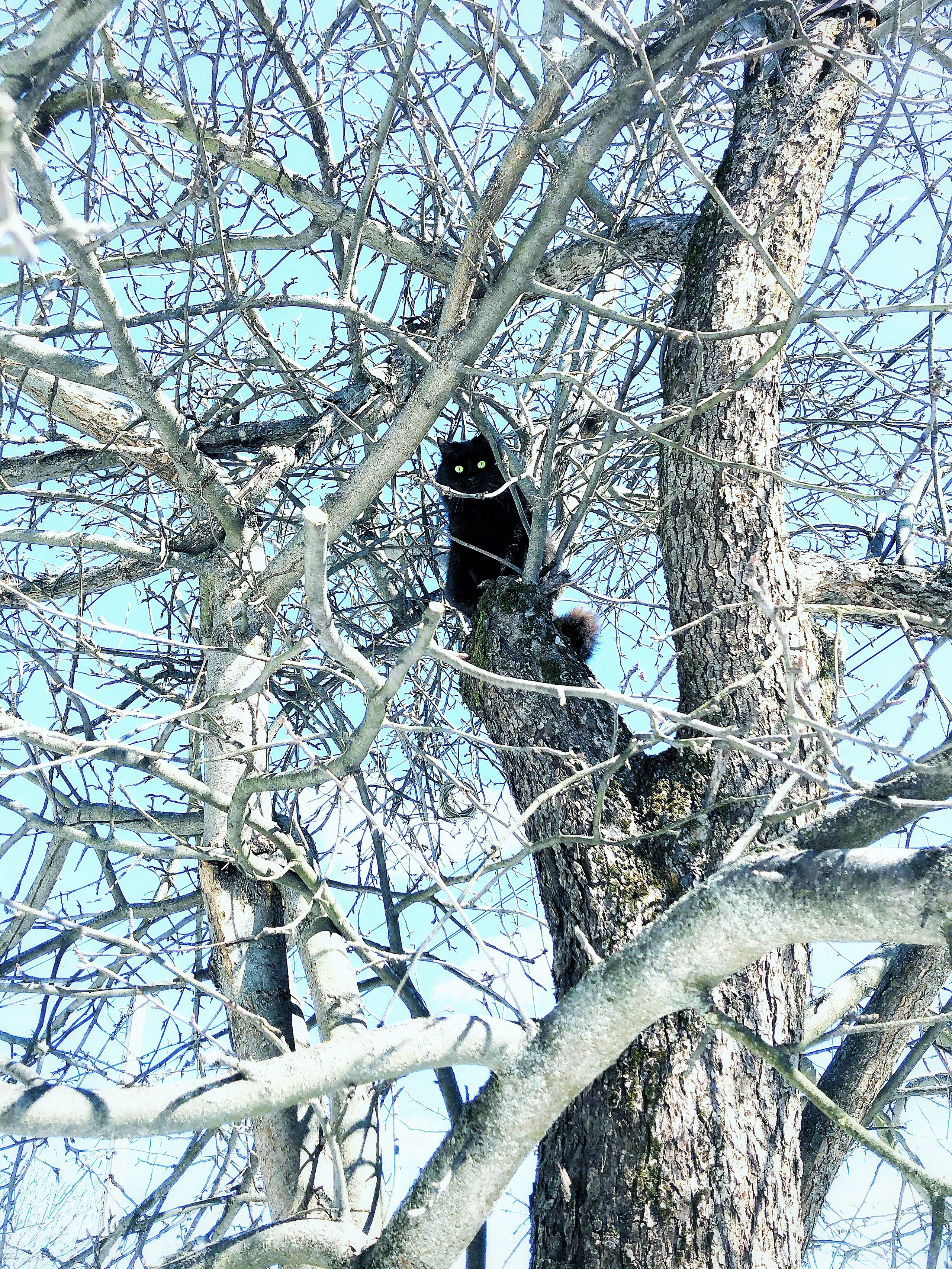 Снято на телефон. Фотография, ретушь, сканирование, восстановление старых фото, интерьерная съёмка, студия. Данилов Александр, Москва