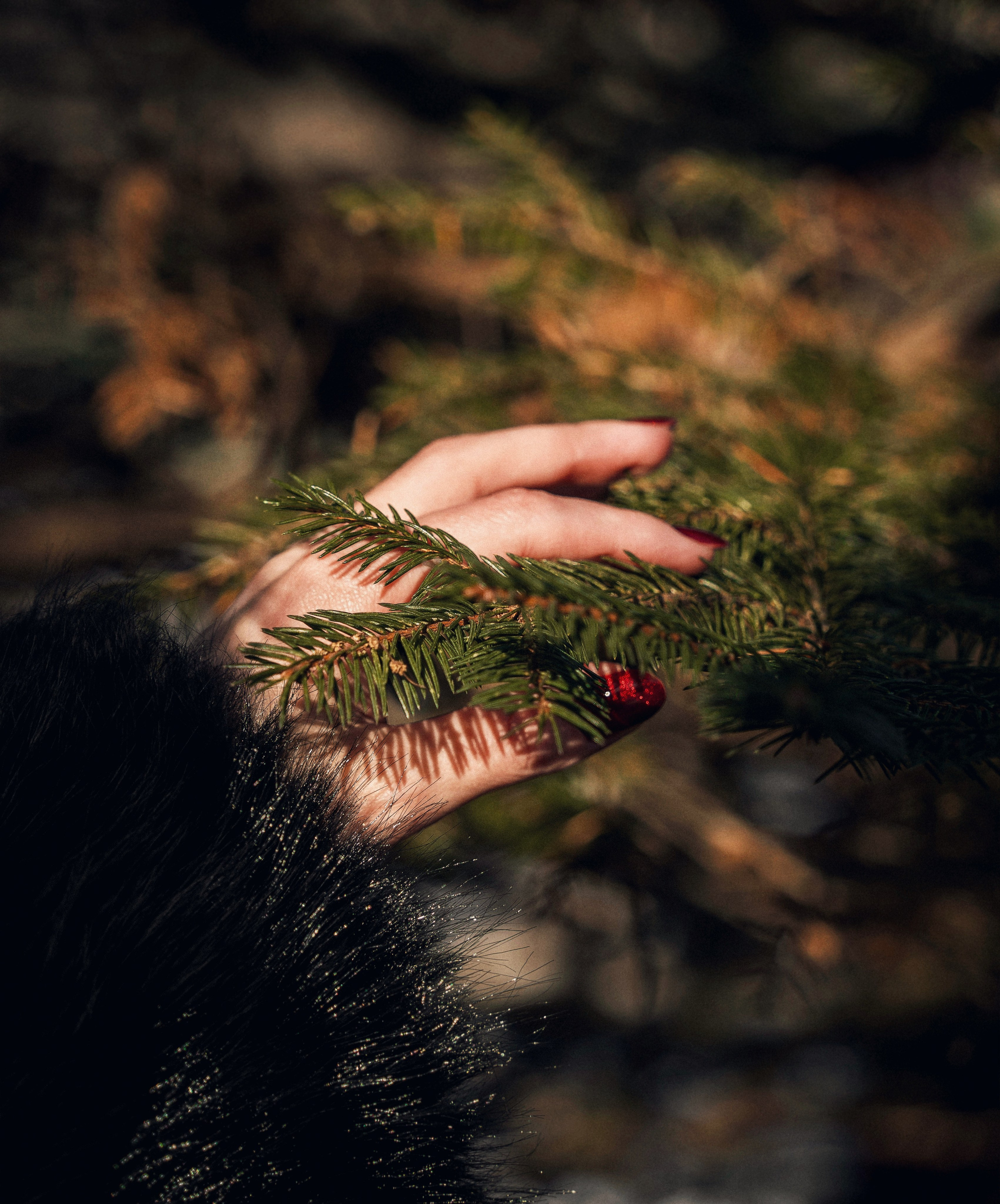 Фотодень «Символ 2026 года». Семейный фотограф анималист г. Находка