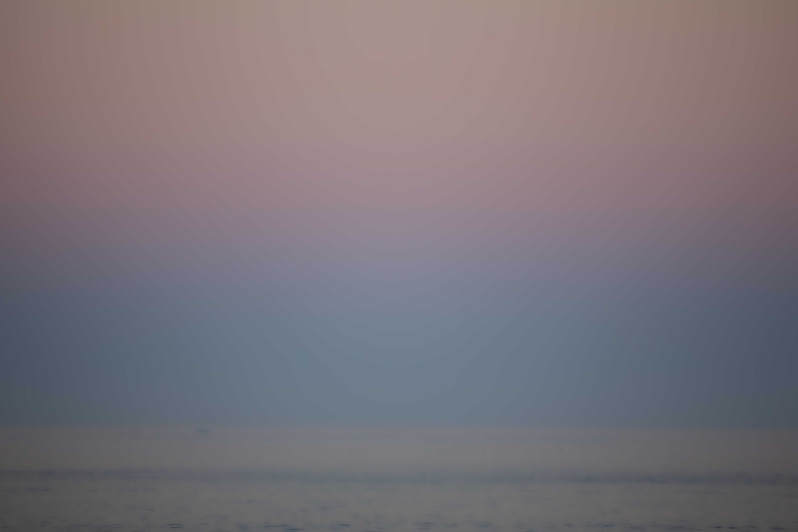 Anastasia Shapoval violoniste et photographe. Annecy — Geneve