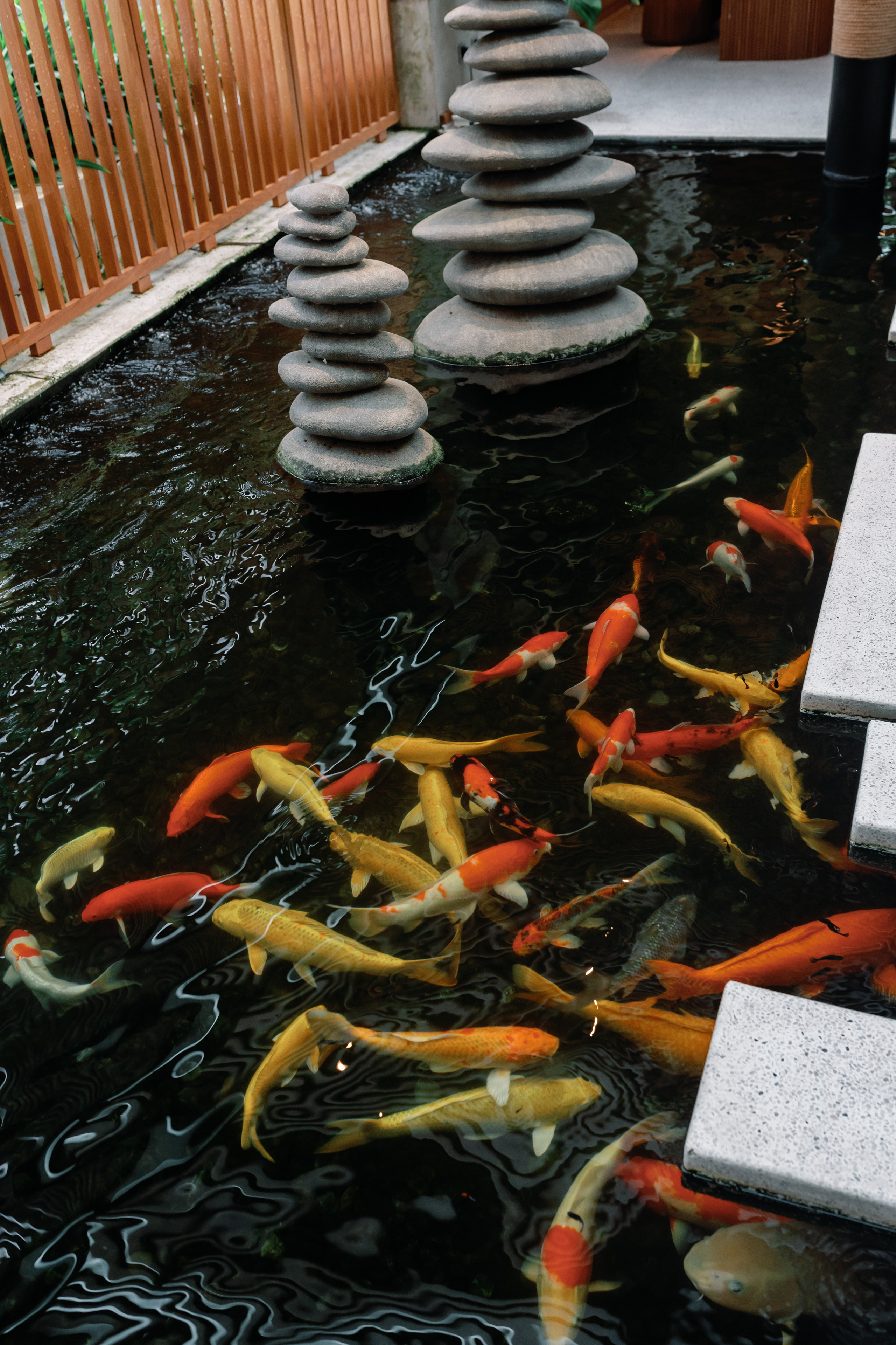 Monica’s album. PhuQuoc photographer — Phu Quoc wedding photographer