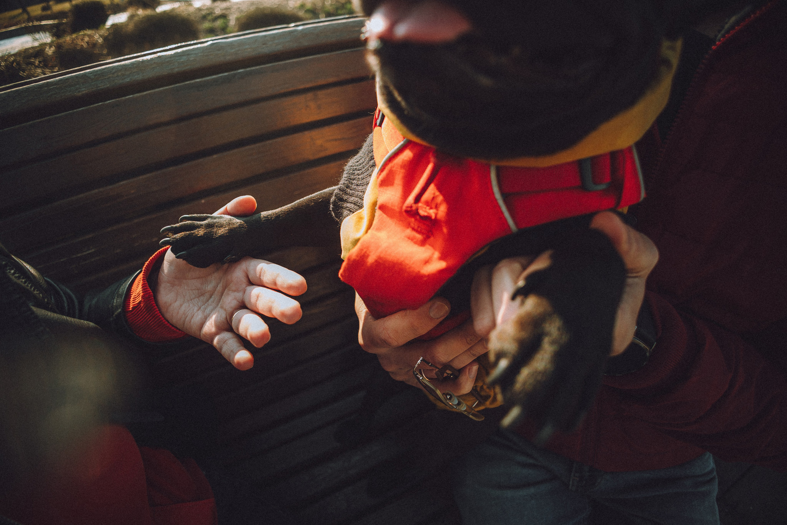 Саша, Дима и Шпуля