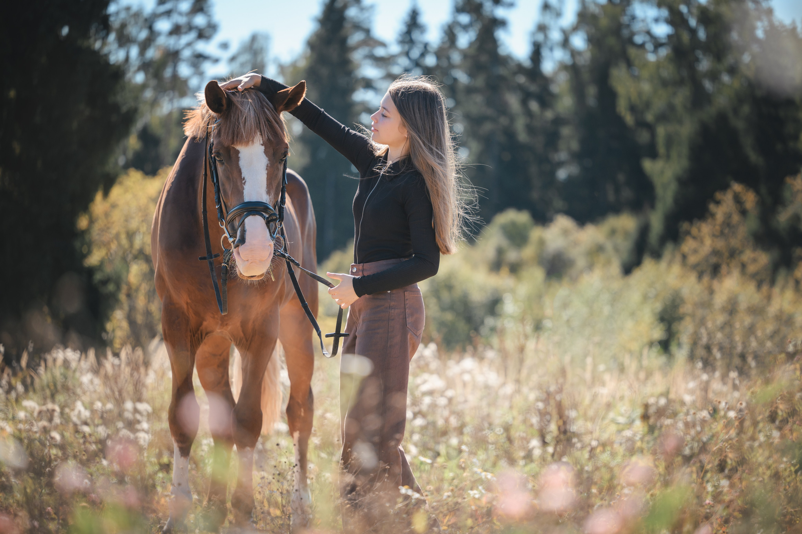 Виктория и Лео. Фотограф Анималист в Москве Анастасия Жучкова