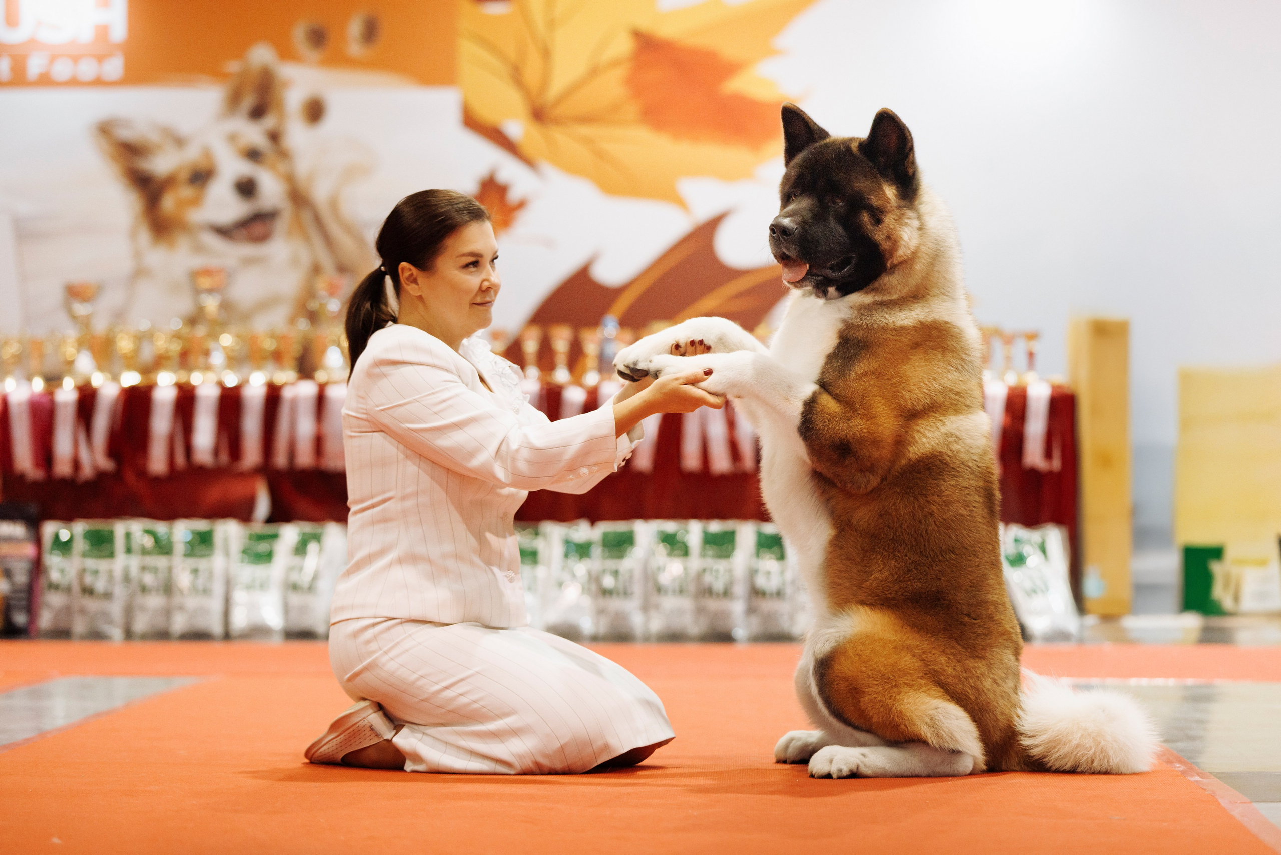 18/19.10.2025 — Екатеринбург. Фотограф-анималист Саша Вязьмина