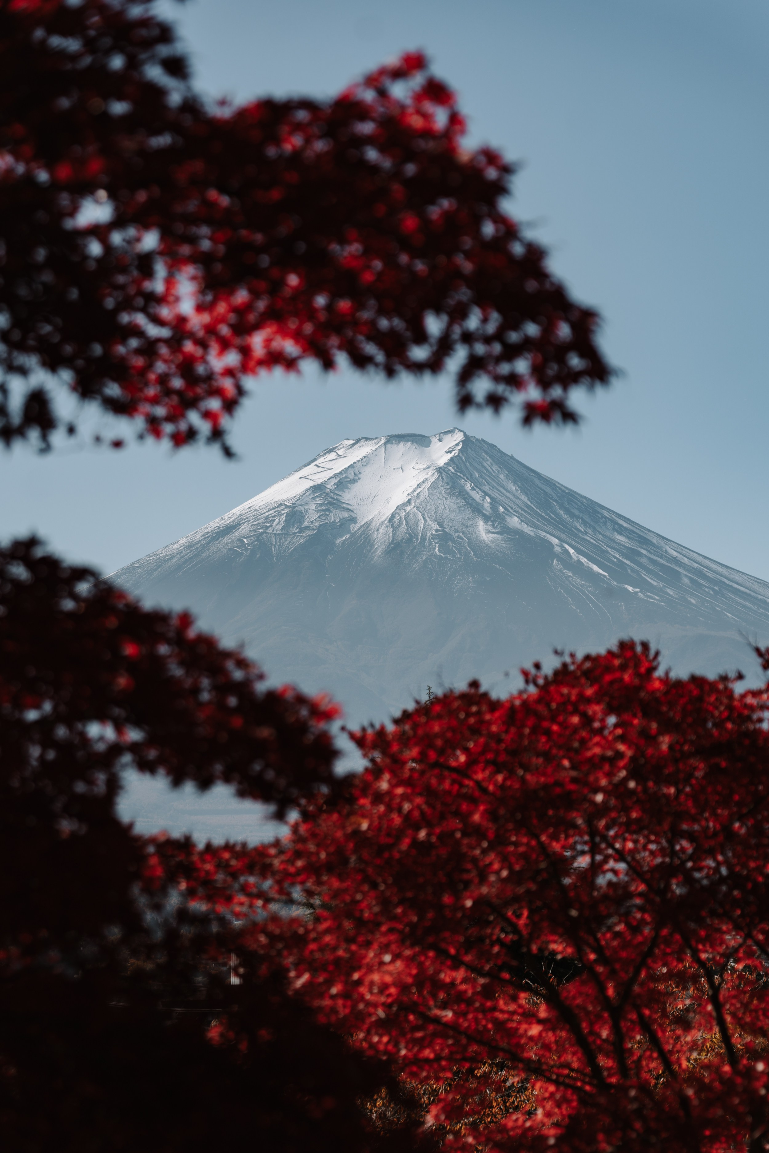 Тревел / travel. Медийный светский репортажный фотограф