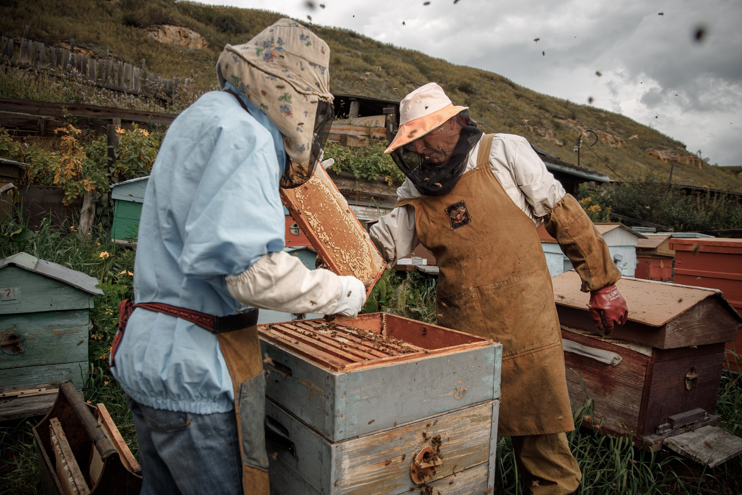 Верность делу. Фотограф в Красноярске Нерозя Александр. Пейзаж, природа, портрет