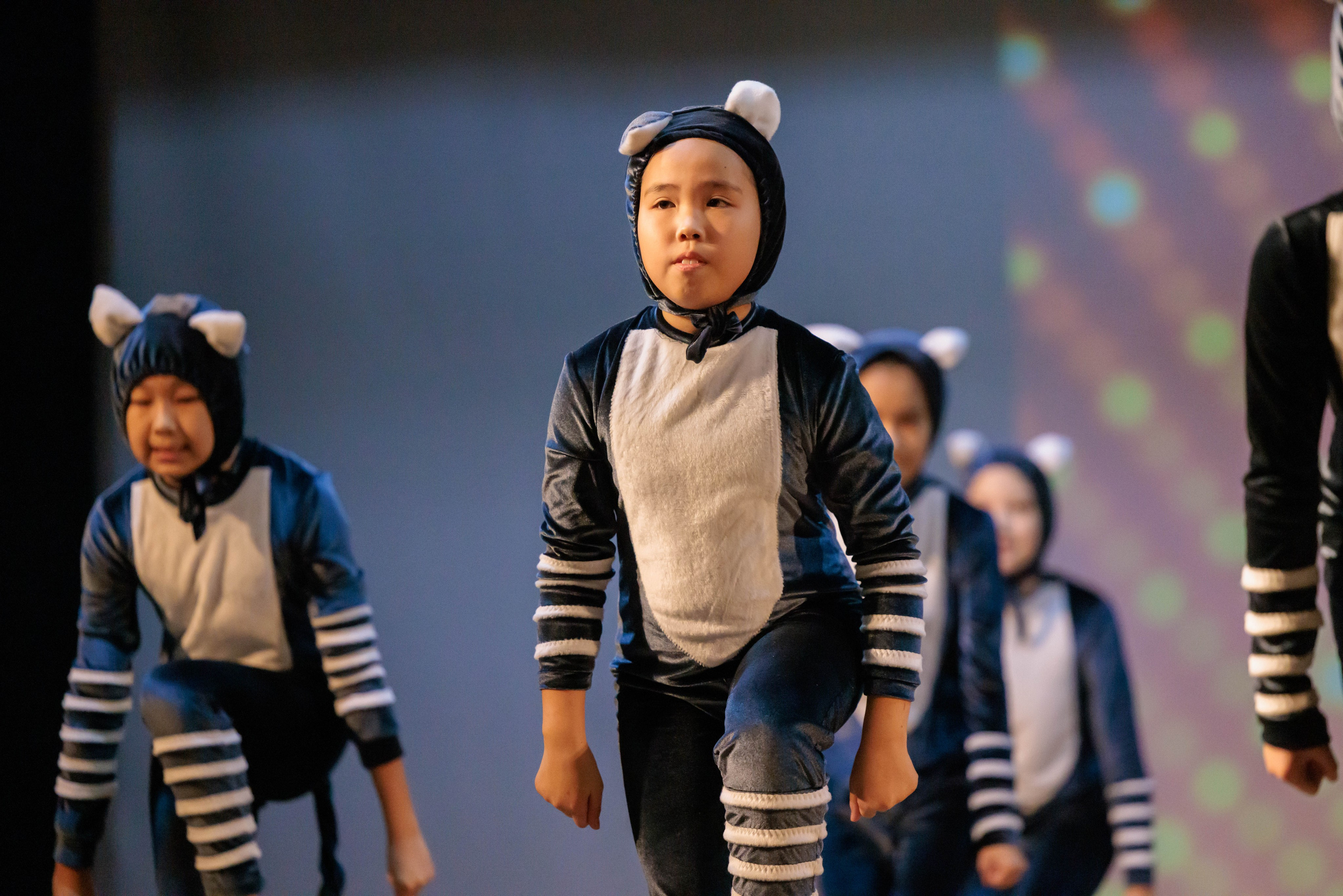 ARТист Сибири 2023. Ваши Истории. Фотограф/видеограф. Абакан