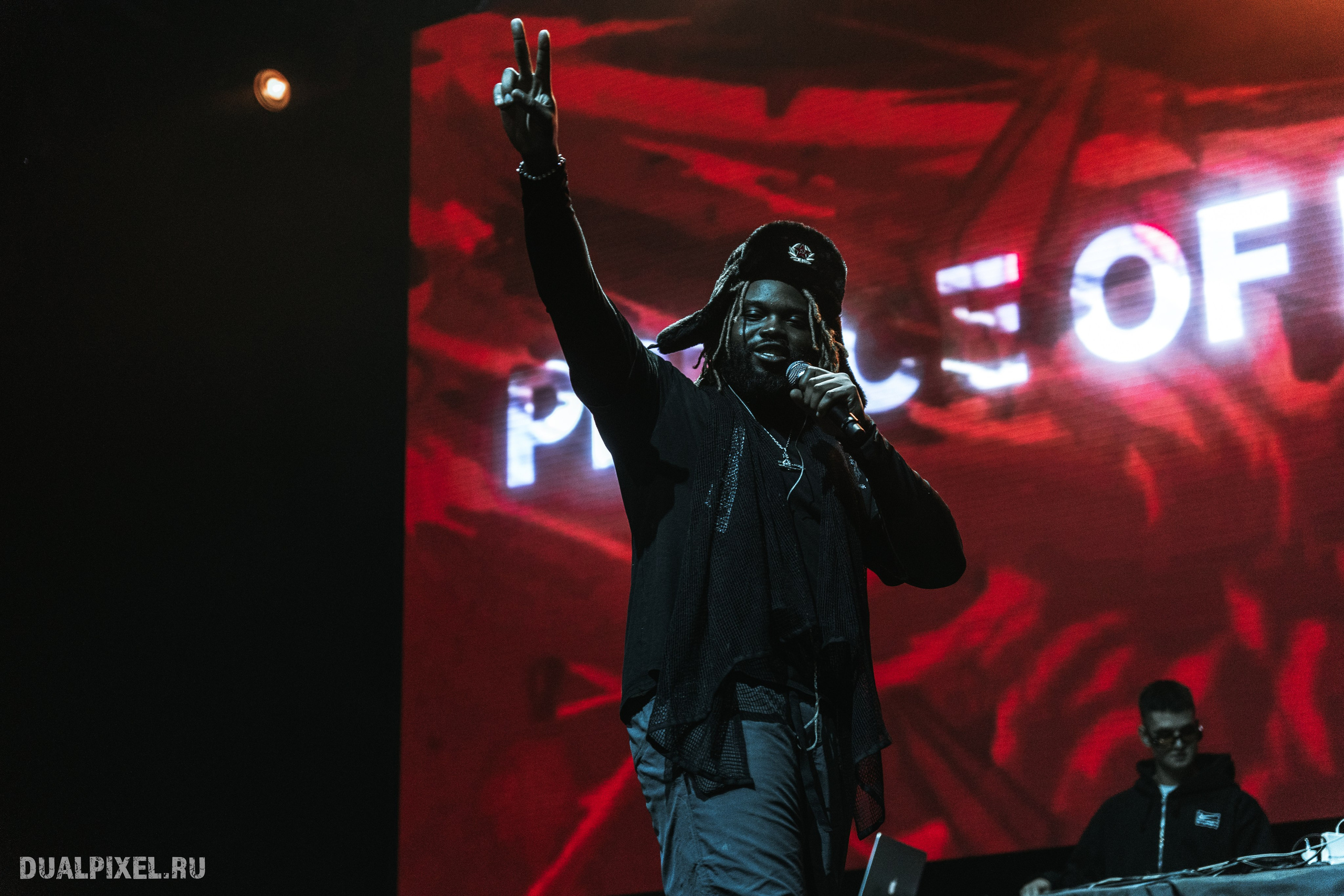 Prince Of Falls. Магия музыки в кадре: Концертная Фотография