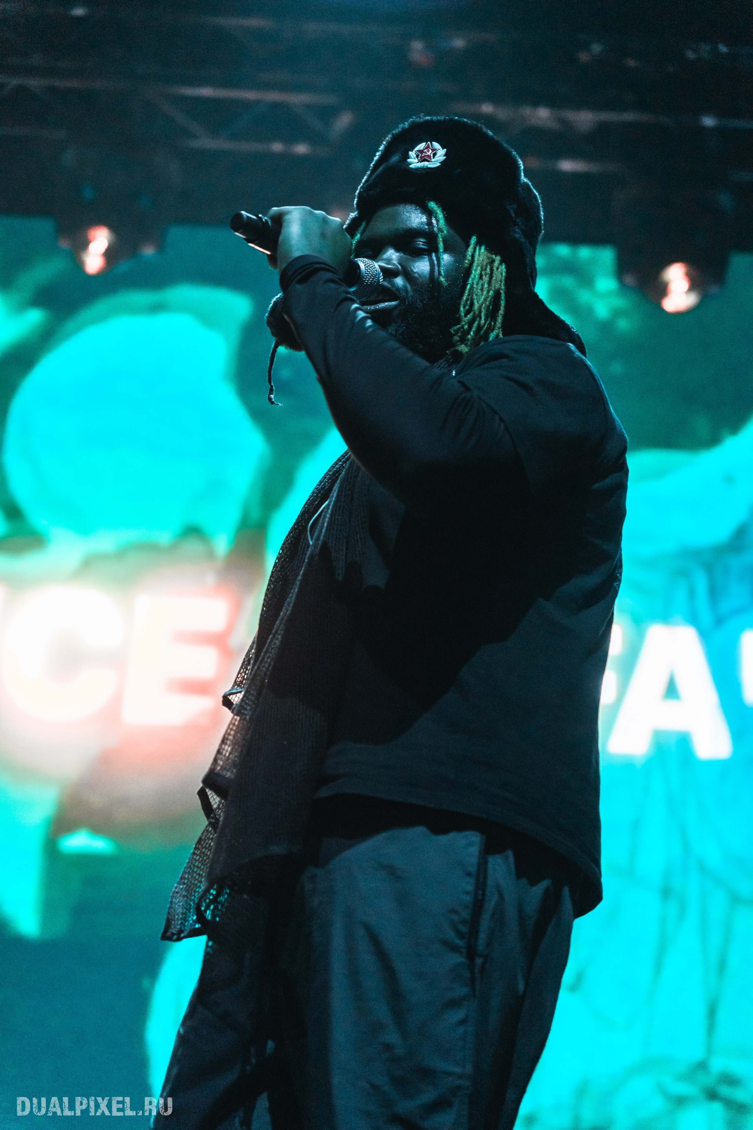 Prince Of Falls. Магия музыки в кадре: Концертная Фотография