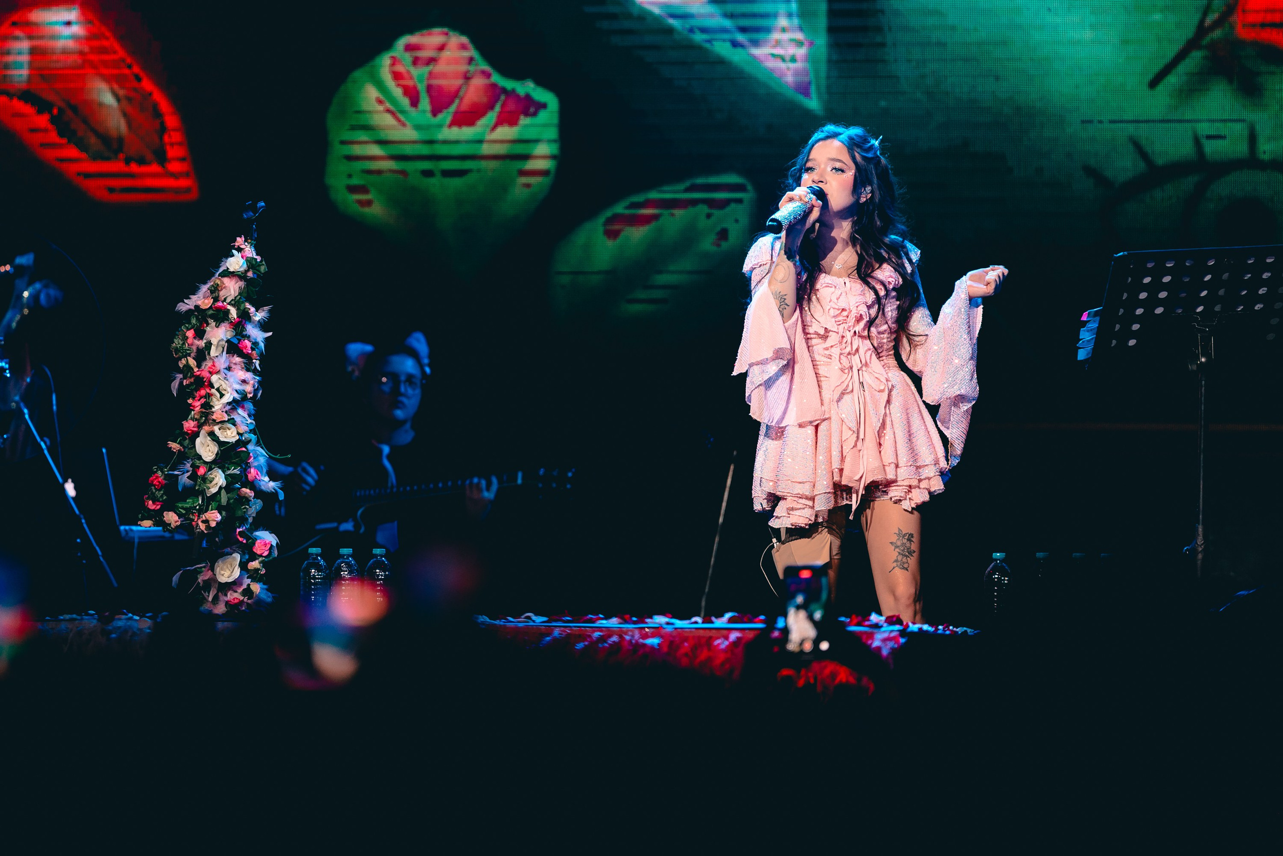 Алена Швец. Магия музыки в кадре: Концертная Фотография