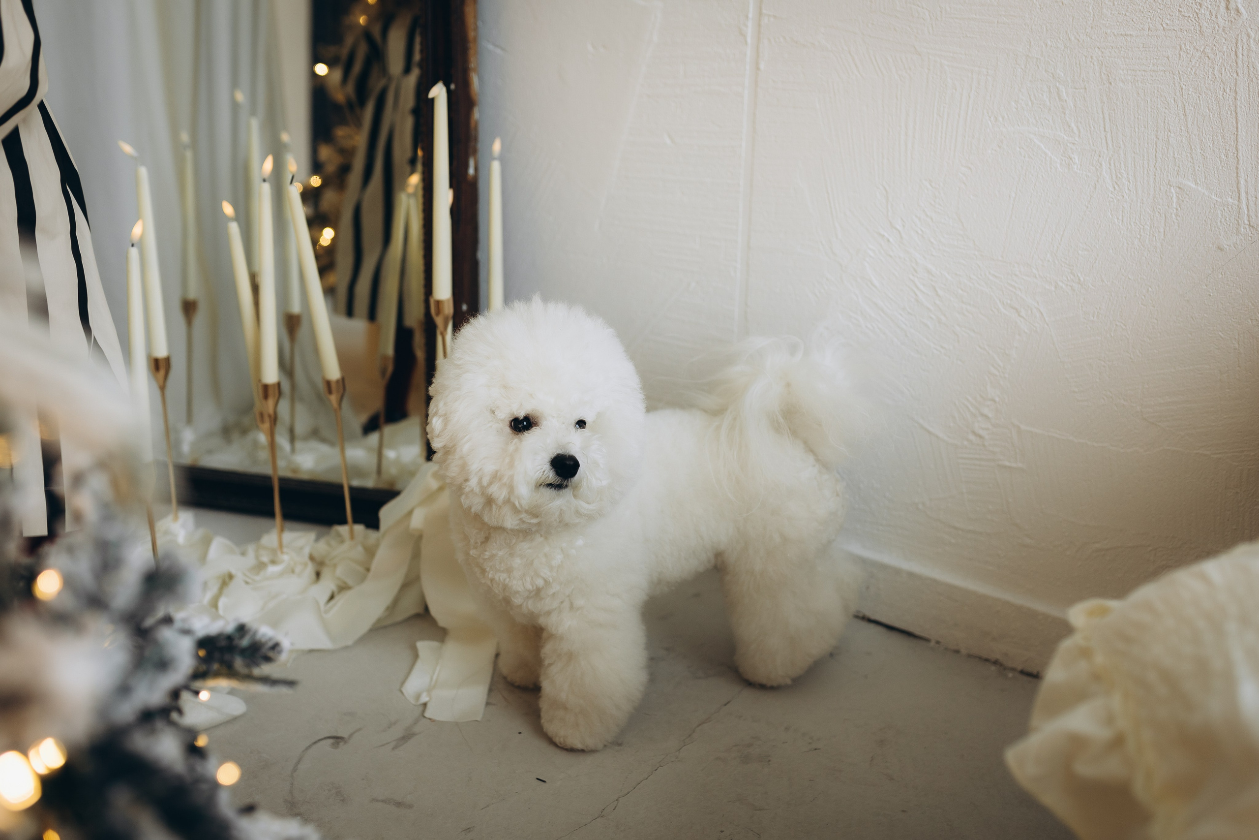 ❤️. Ph.nataluuna ФОТОГРАФ СЕРГИЕВ ПОСАД