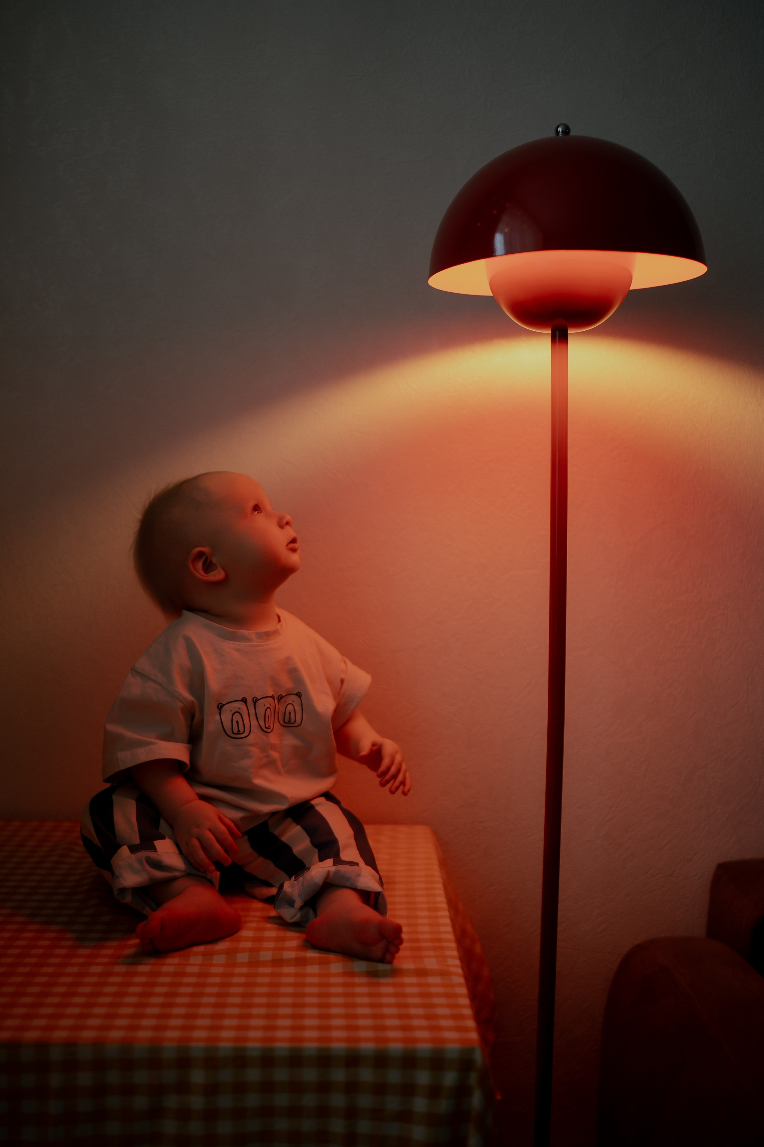 Годовасие Льва. Свадебный и семейный фотограф в Москве и Красногорске — живые кадры | Анастасия Тихонова