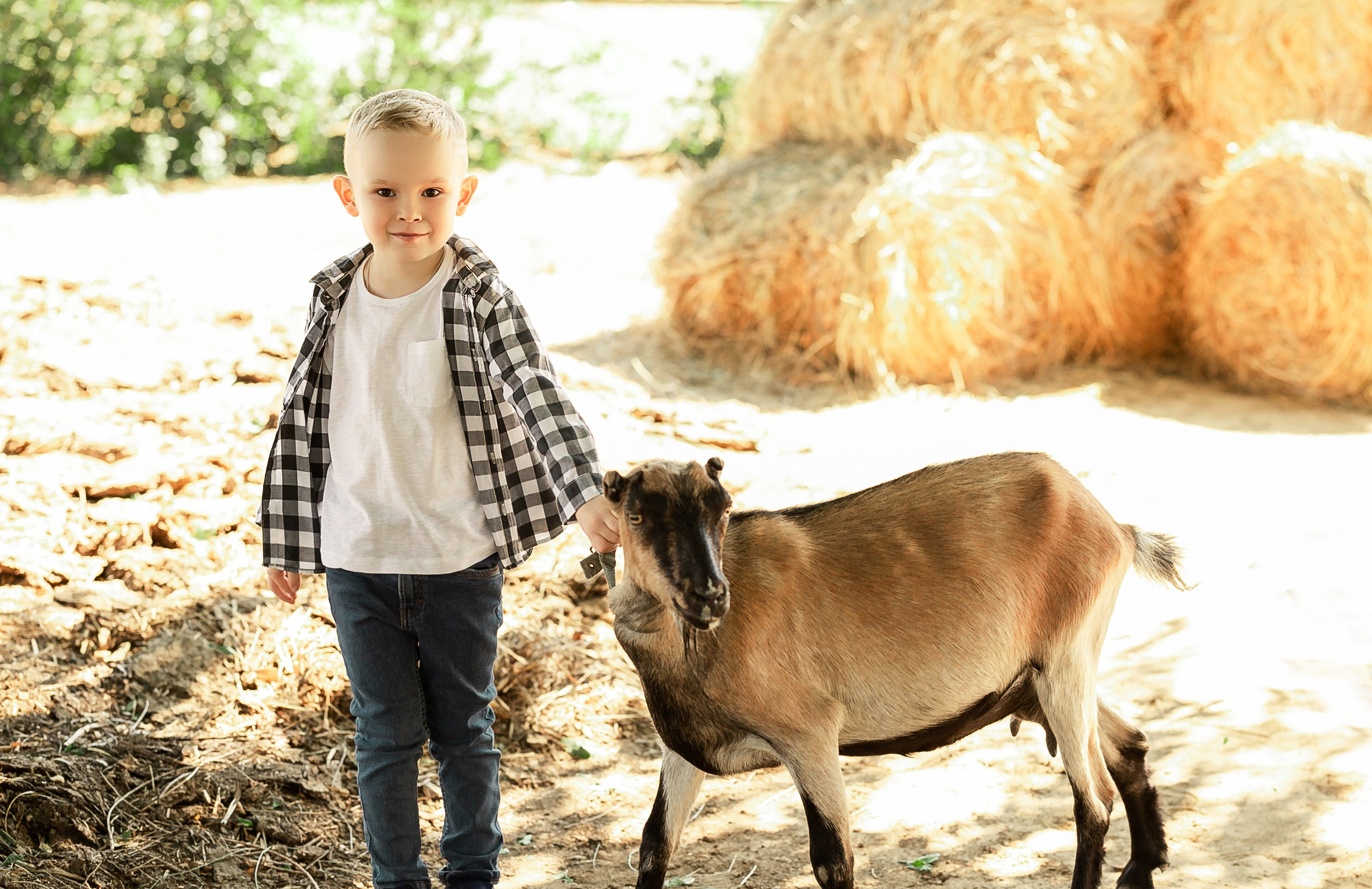 Природа. Свадебный фотограф в Астрахани. Фототуры по Астрахани и в горы Кавказа