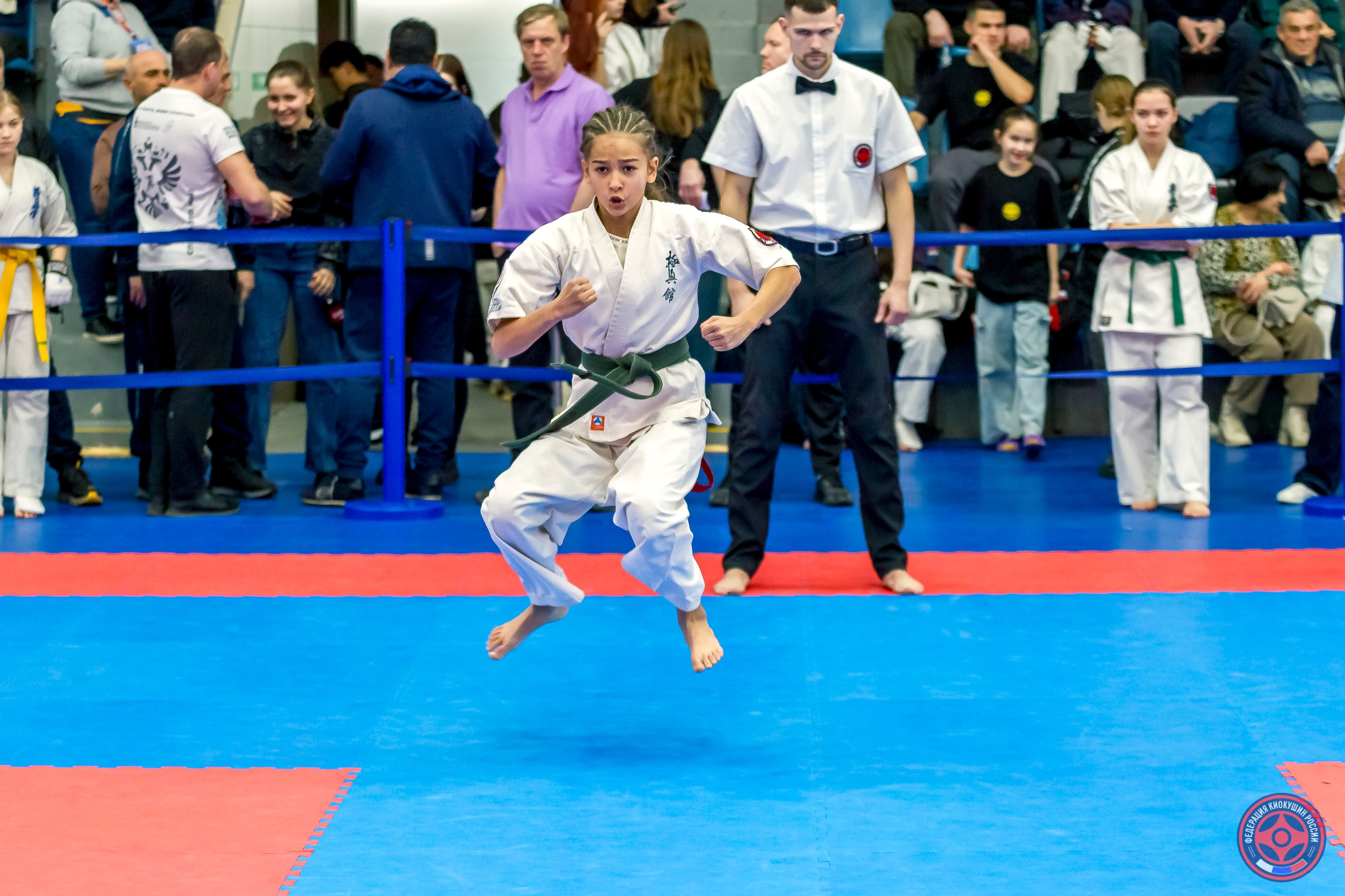 Международный турнир по киокушин «Открытый кубок Seiken». Репортажная съемка в Москве и области. Анималистика