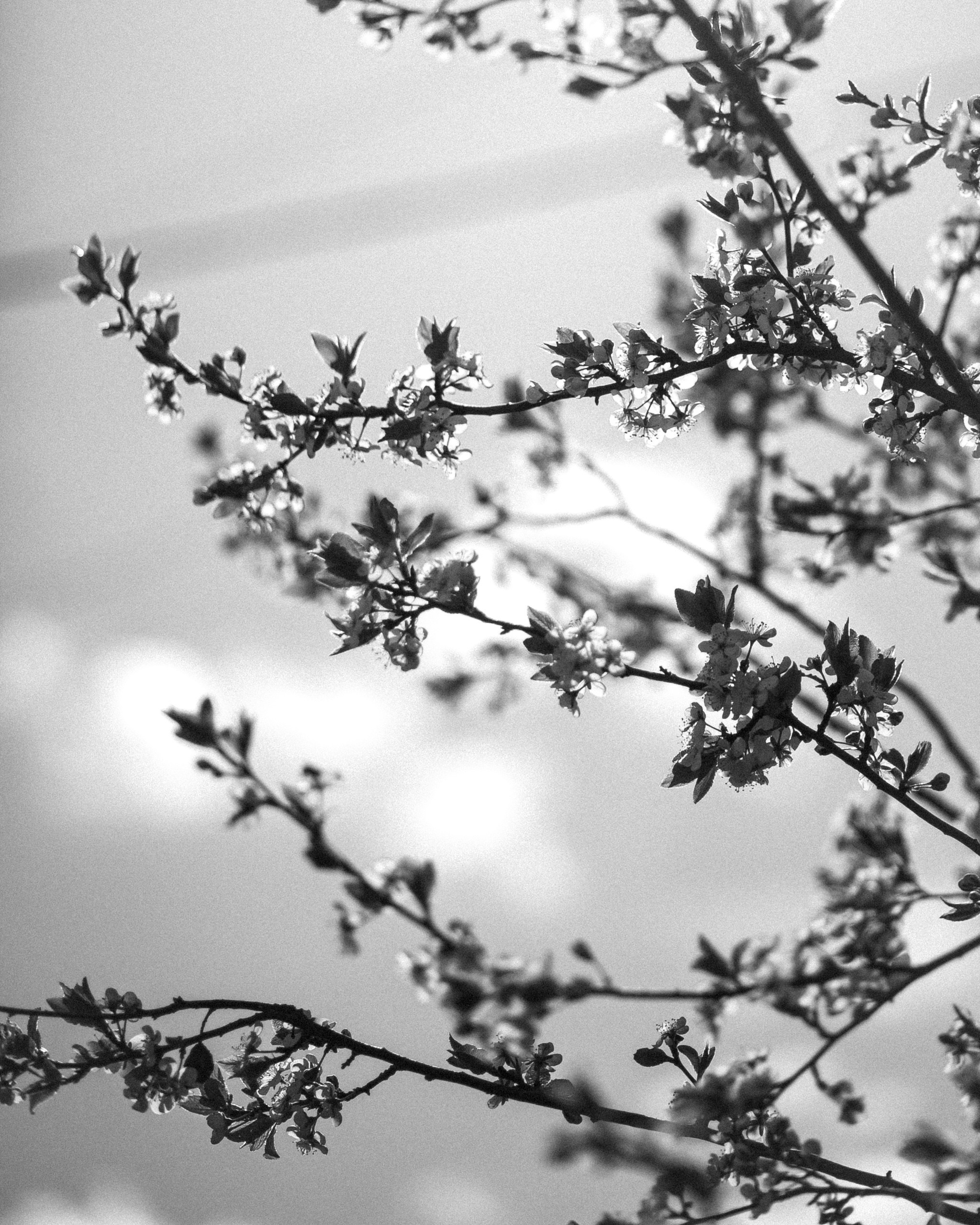 Портфолио. Фотограф Москва | Anastasia Permyakova