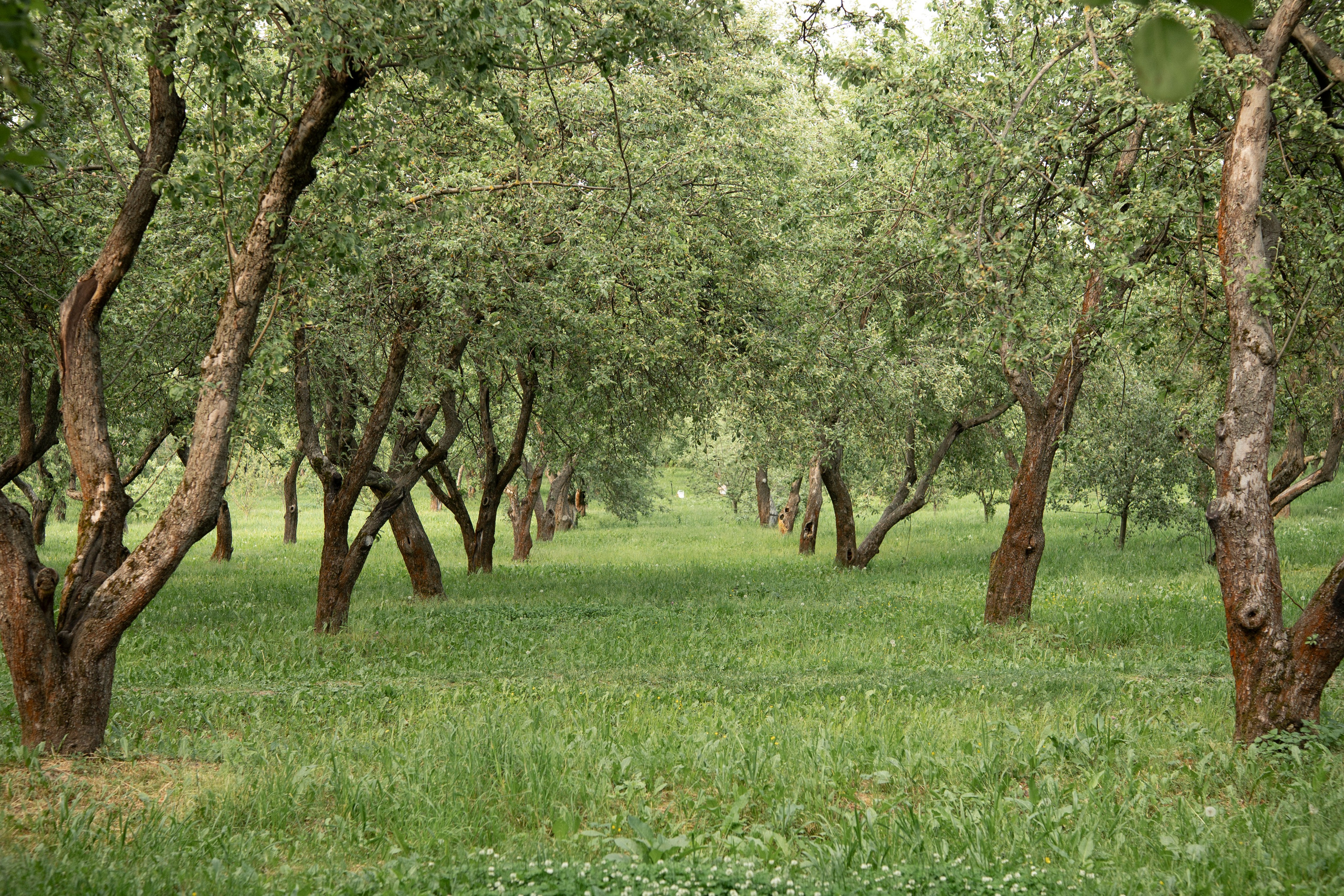 Ты выбираешь чудеса. Фотограф Евгения Мирошниченко