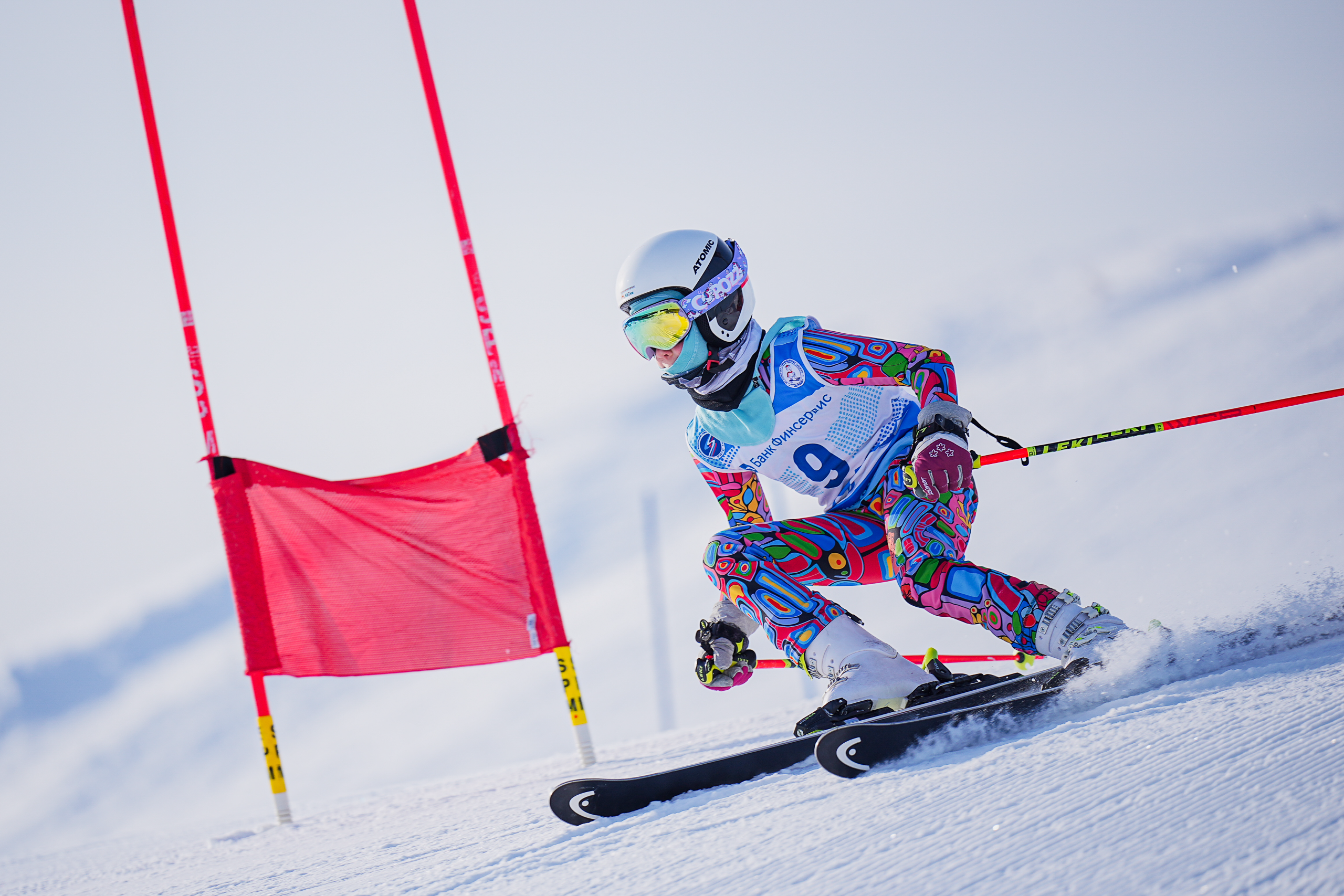 GS (Giant Slalom) - Слалом-гигант. Соревнования по горнолыжному спорту. Московская область, Шуколово