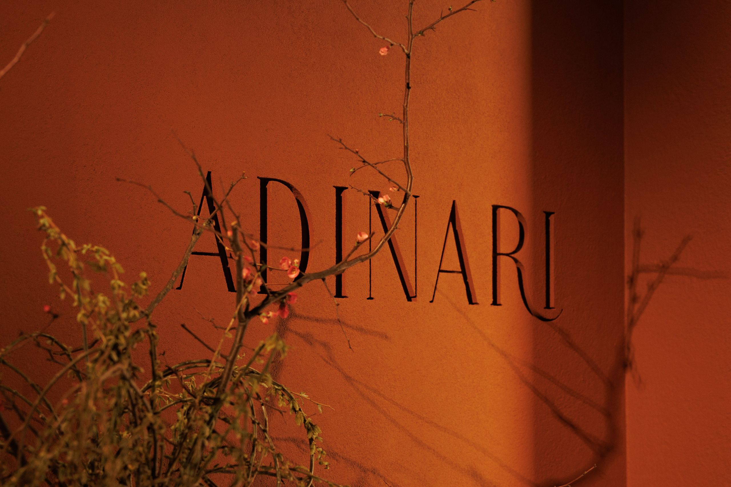 Adinari. Фотограф в Москве Андрей Овчаров