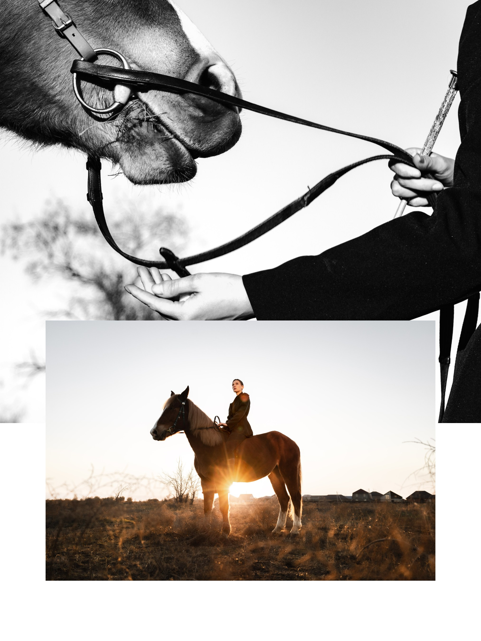 Daria and Bulka. Фотограф твоих воспоминаний | Алексей Алексеев