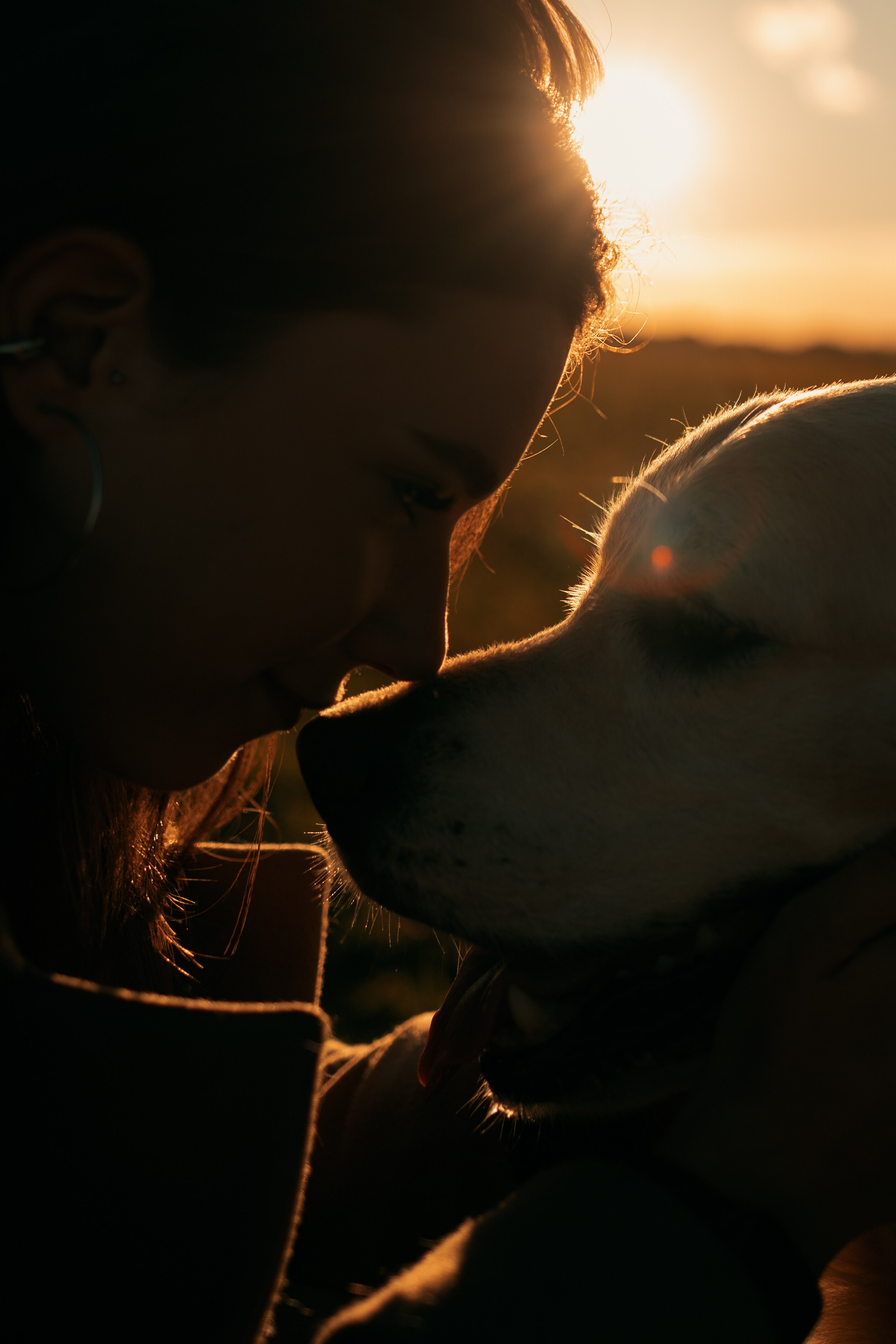 Лера и Скай. Фотограф — Анималист | Санкт-Петербург