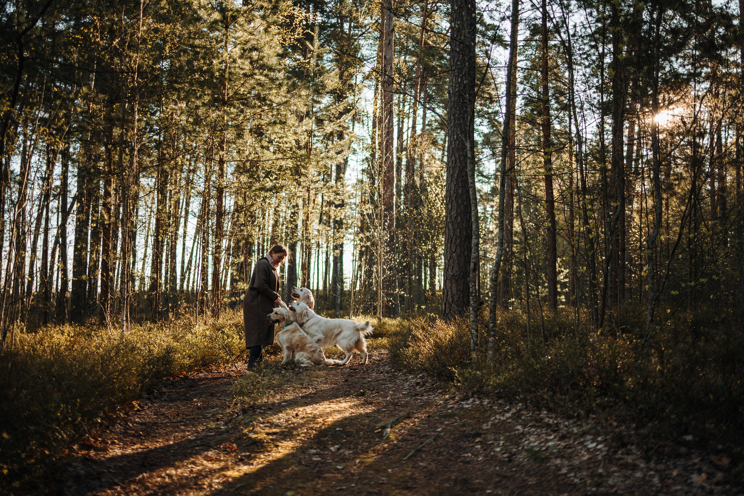 Катя и ее девочки. Фотограф — Анималист | Санкт-Петербург