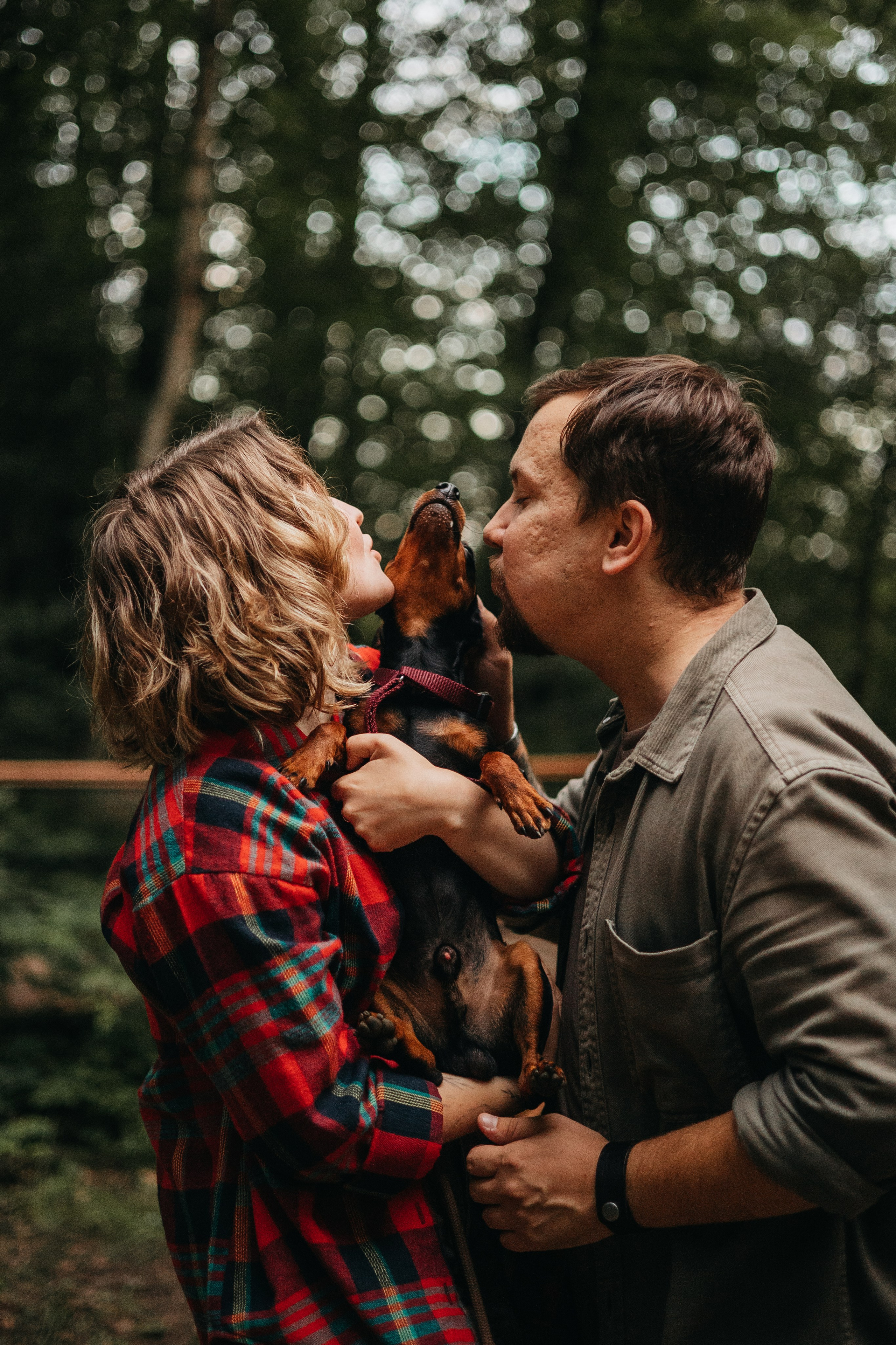 Сириус и его семья. Фотограф — Анималист | Санкт-Петербург