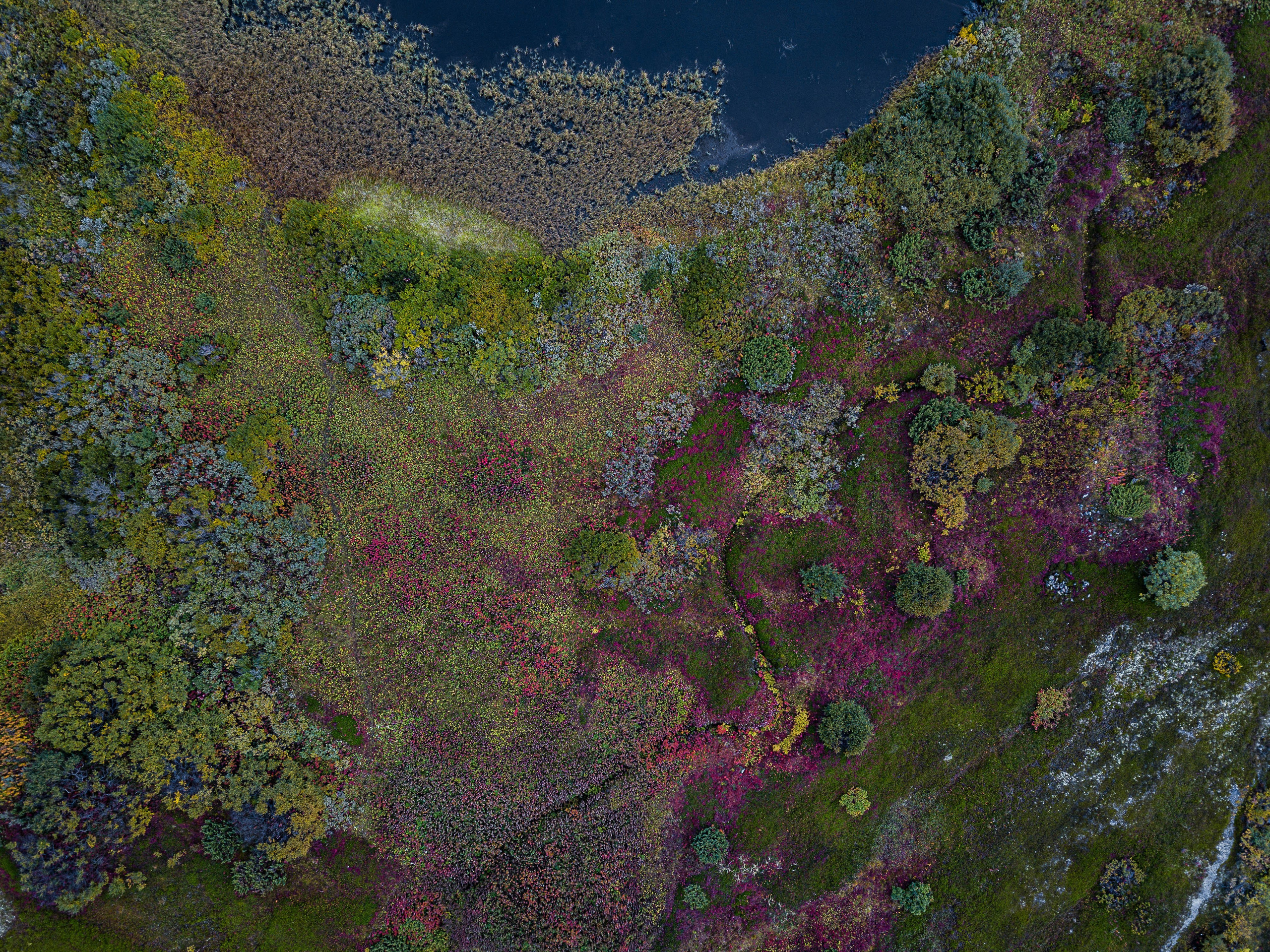 Россия. Полуостров Средний. Добродеева Алла фотограф, Москва