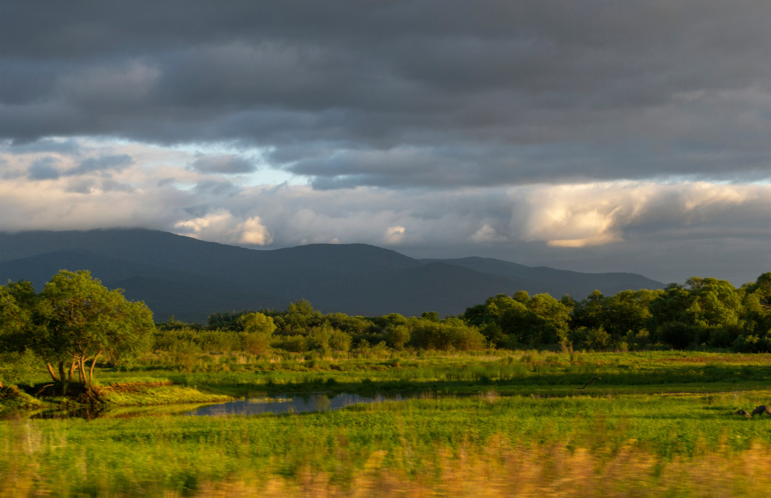 уссурийский остров, вода, залив, протока, хихцир, гора, сопка, природа, фотограф, Хабаровск, дальний восток, пейзаж, небо, поле, лес