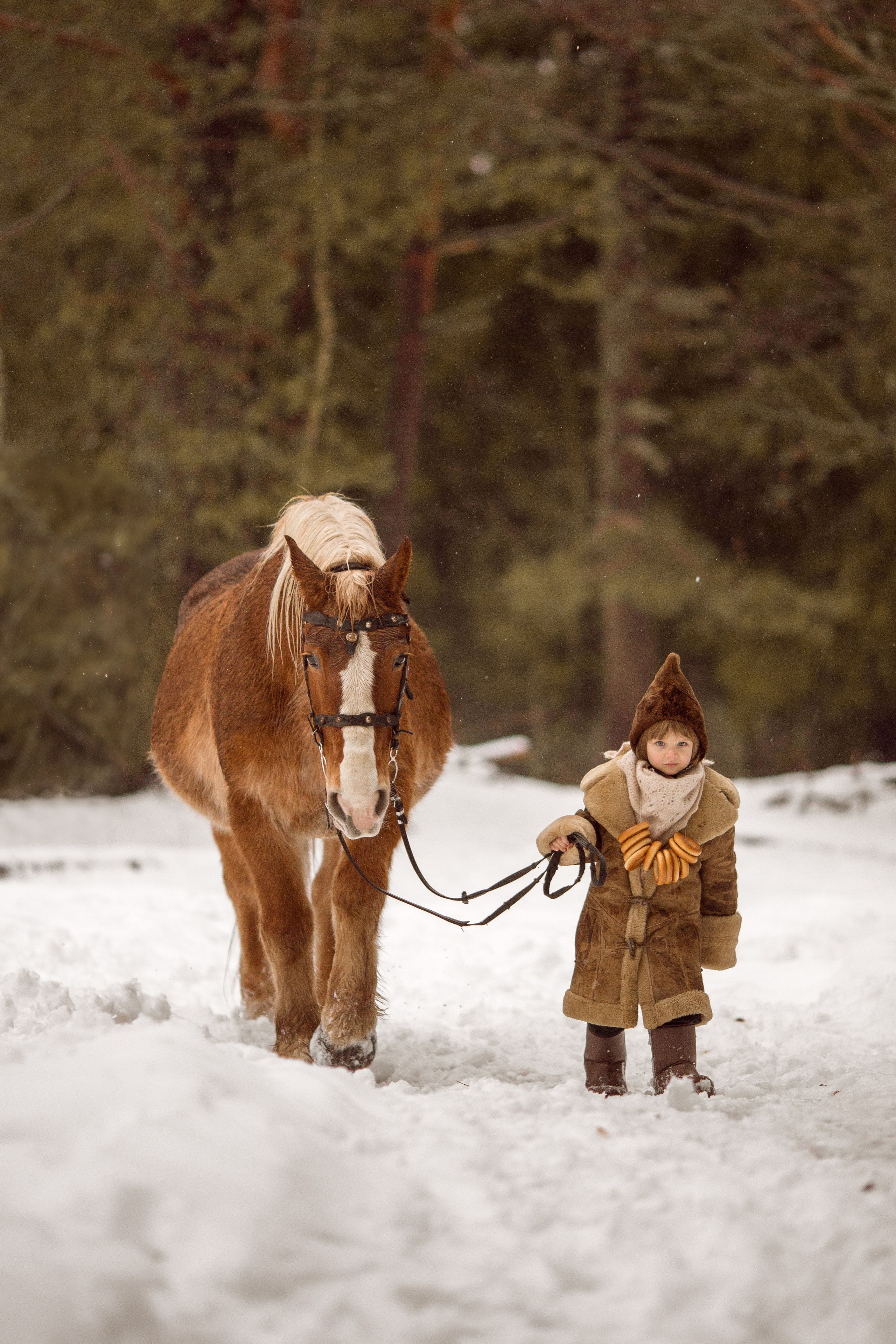 Фото мальчика и лошади зимой
