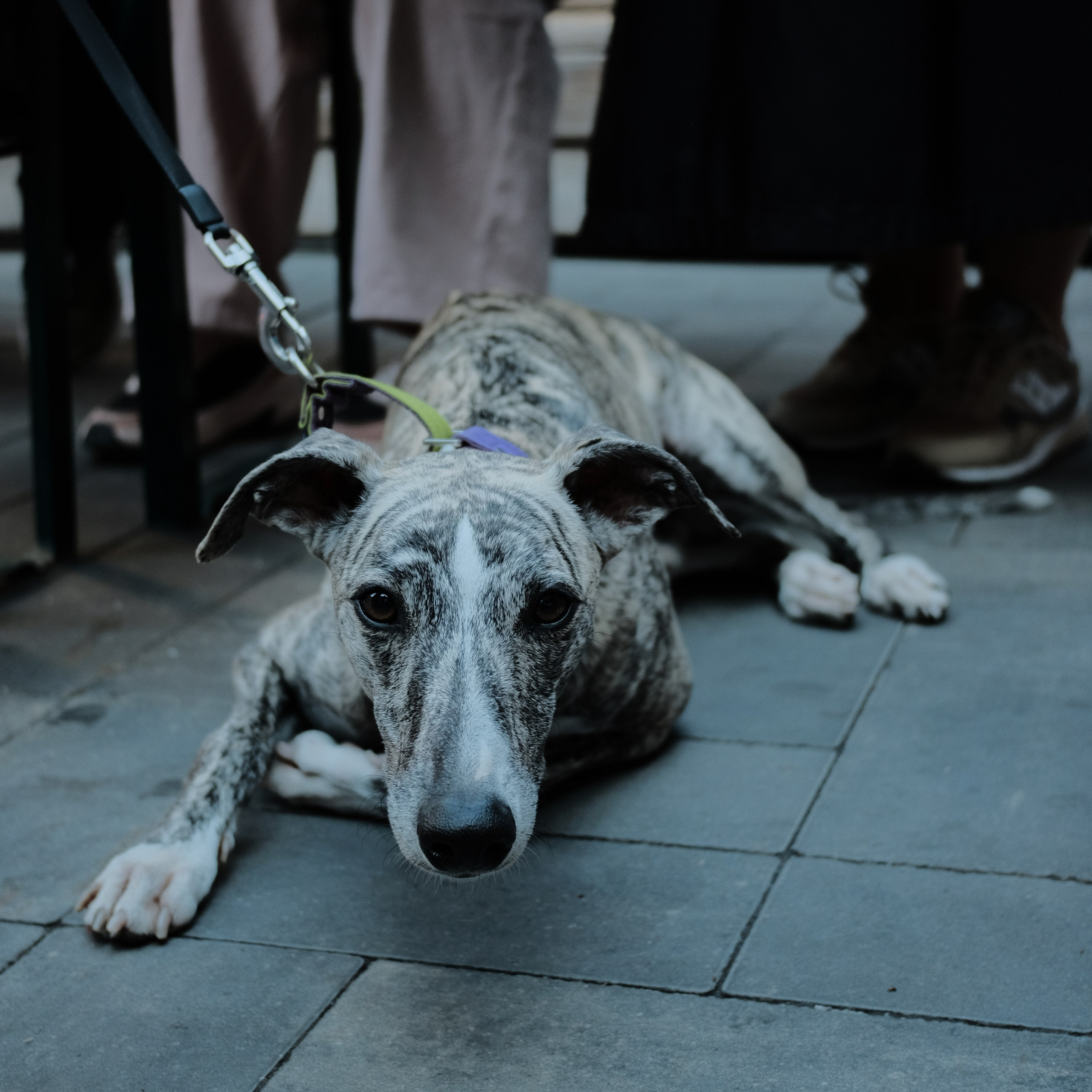 Rostov-on-Don. Creative travel photographer — Berg Daria